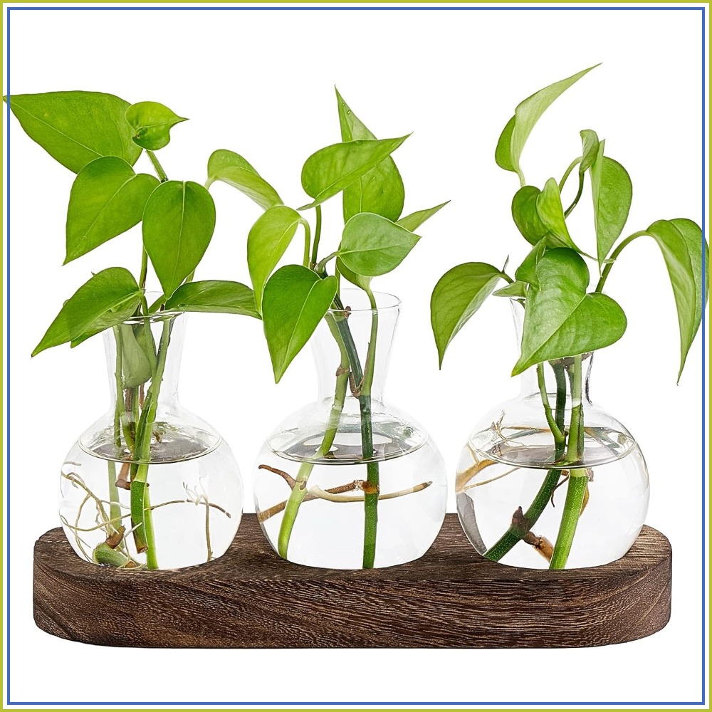 Propagation Station Vase - Desktop Plant Propagation Station Glass Planter