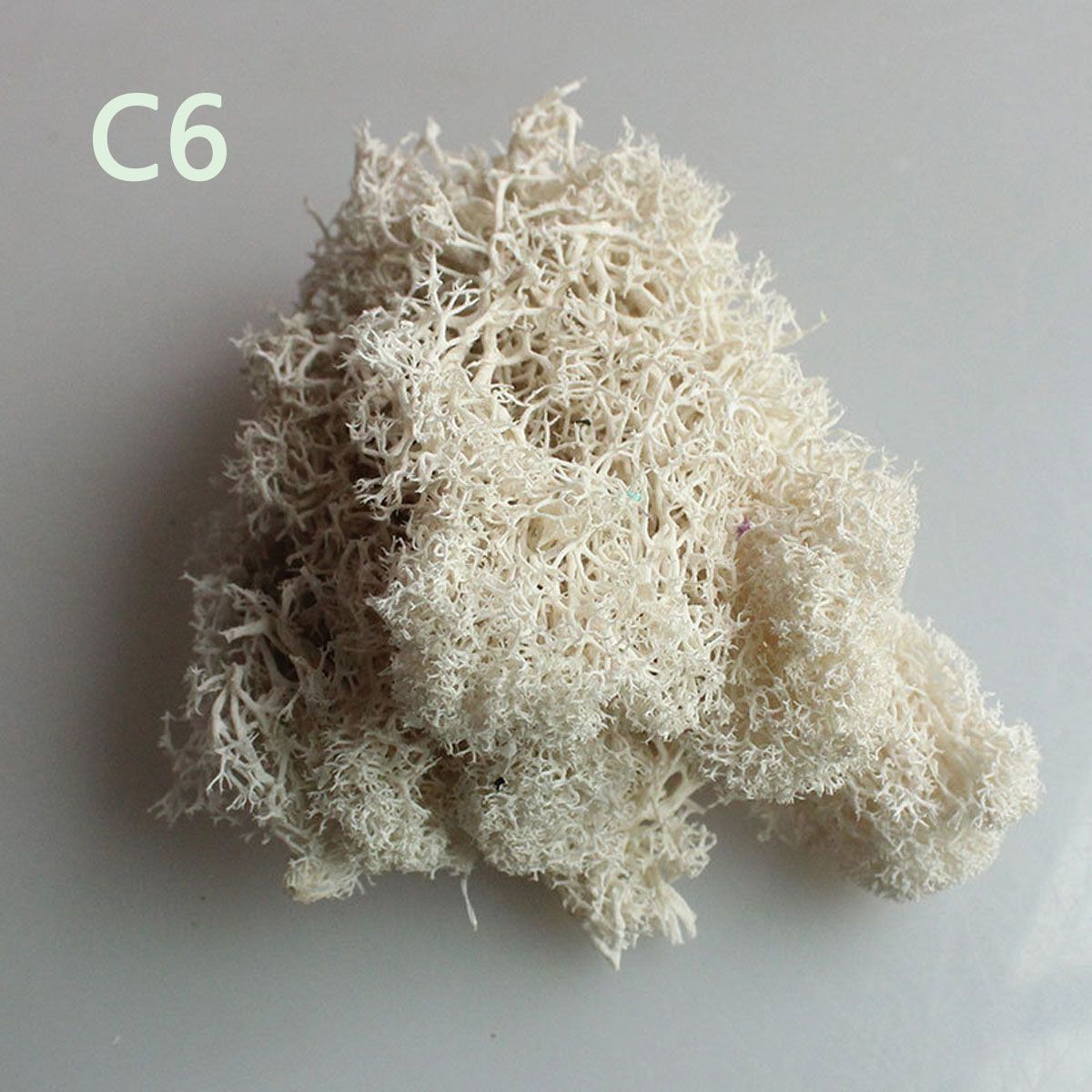Sphagnum Moss Dry - Wedding Accessories Wedding Flower Decoration Home