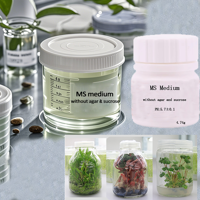 MS medium Without Agar Or Sucr - Agar Tissue Culture recensie en prijs