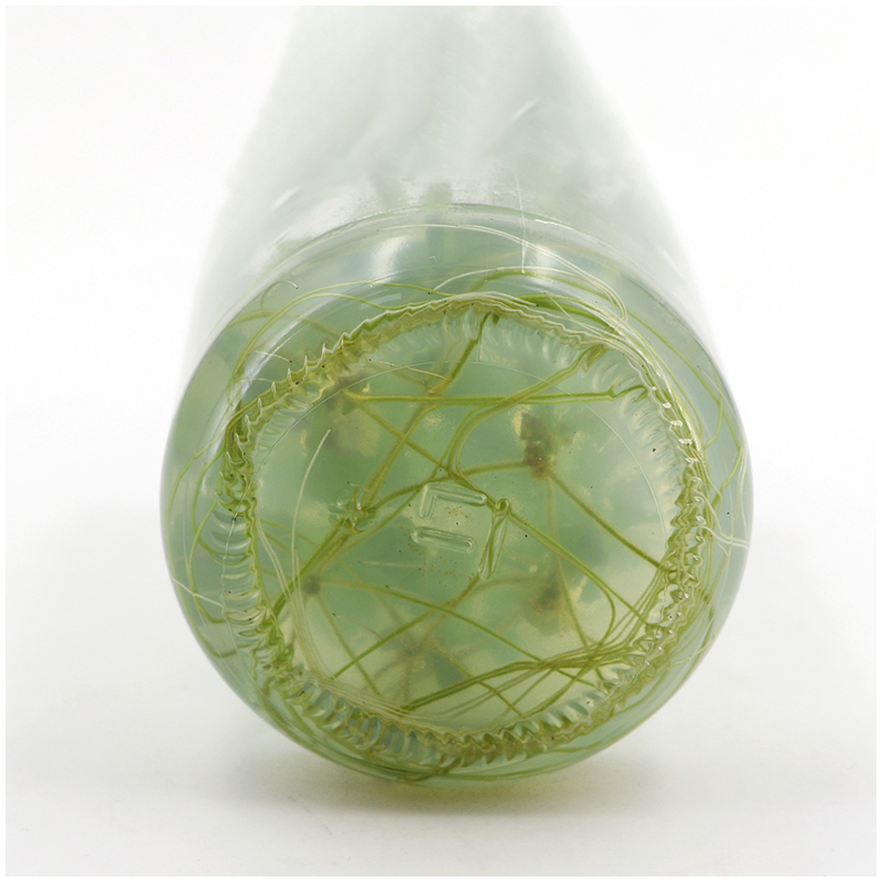 MS medium Without Agar Or Sucr - Agar Tissue Culture recensie en prijs