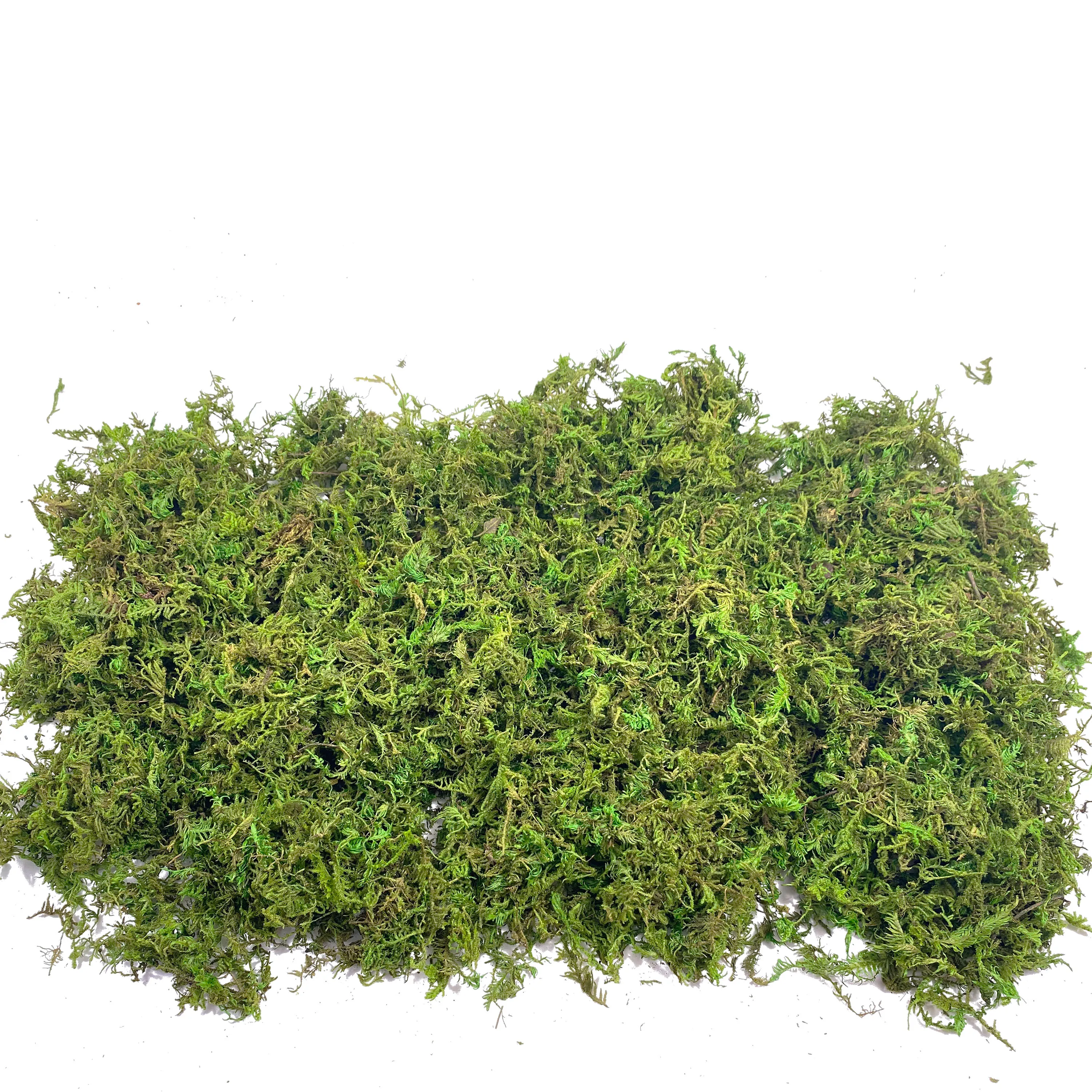 Fake Moss Artificial Moss for  - Sphagnum Moss Dry recensie en prijs