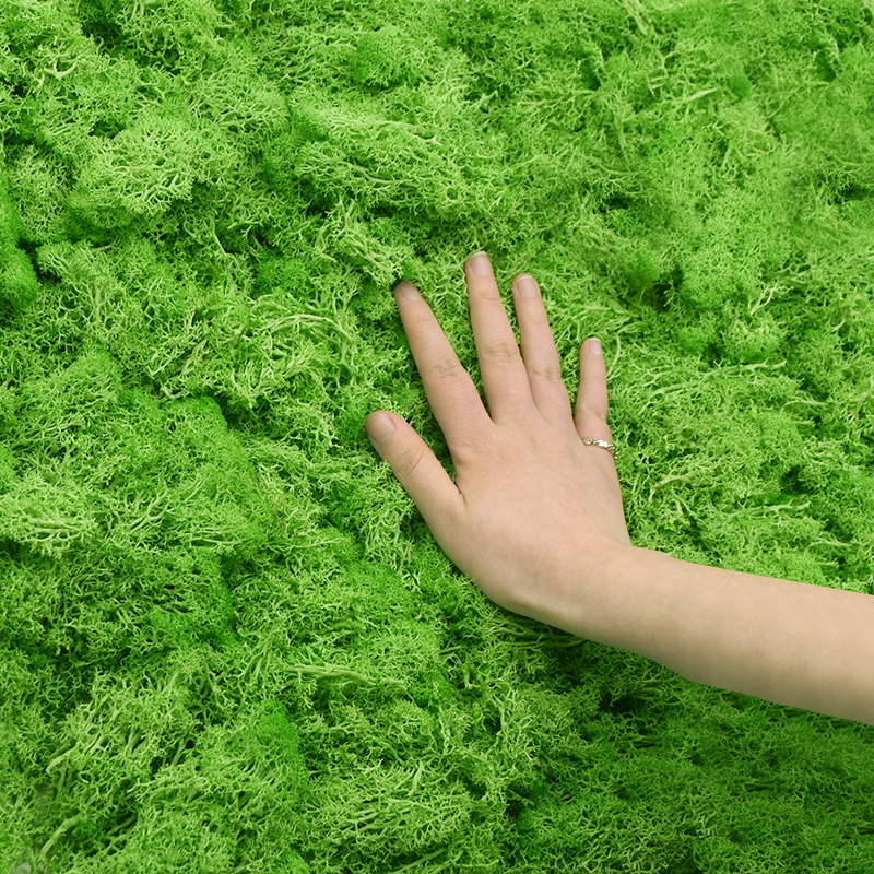 20/40g Artificial Green Plants - Sphagnum Moss Dry recensie en prijs