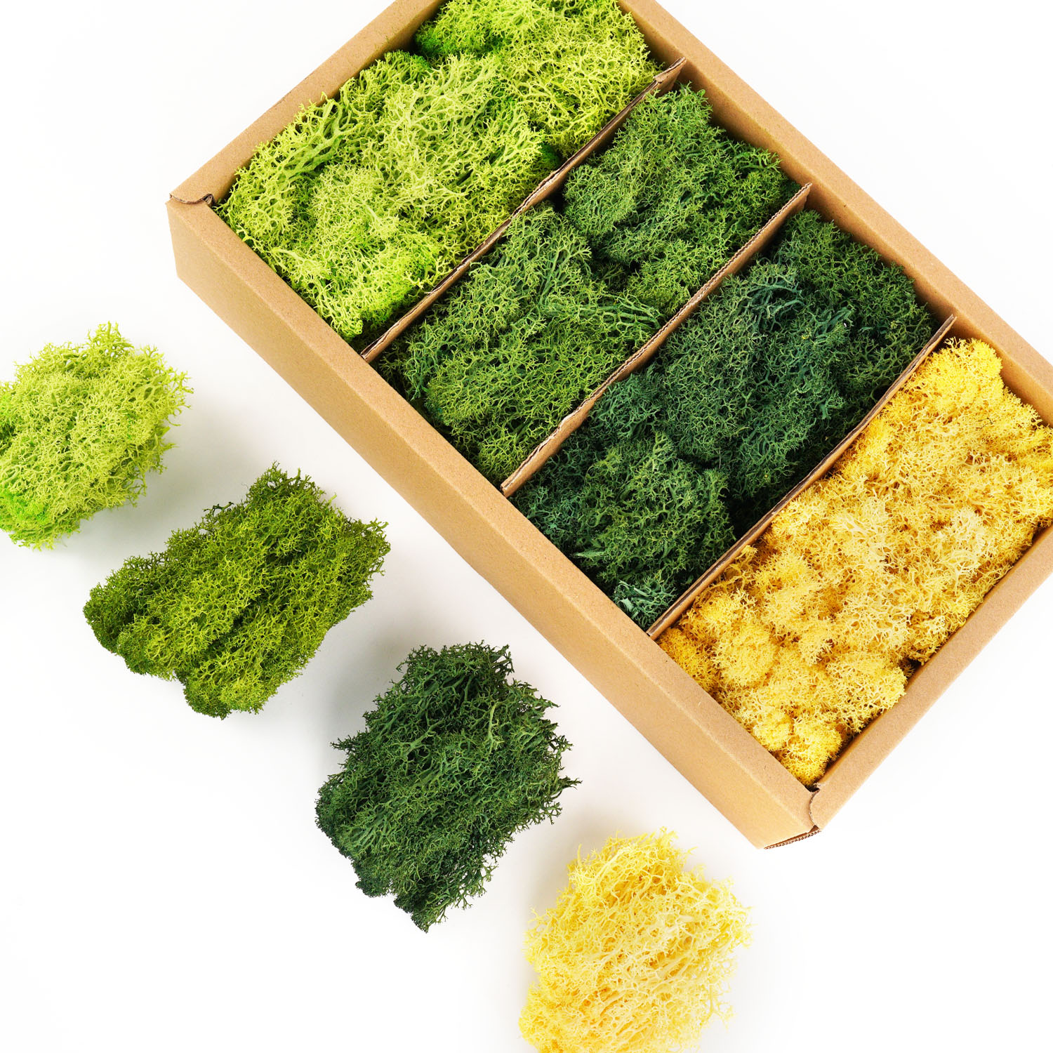 Artificial Green Plants Eterna - Sphagnum Moss Dry recensie en prijs