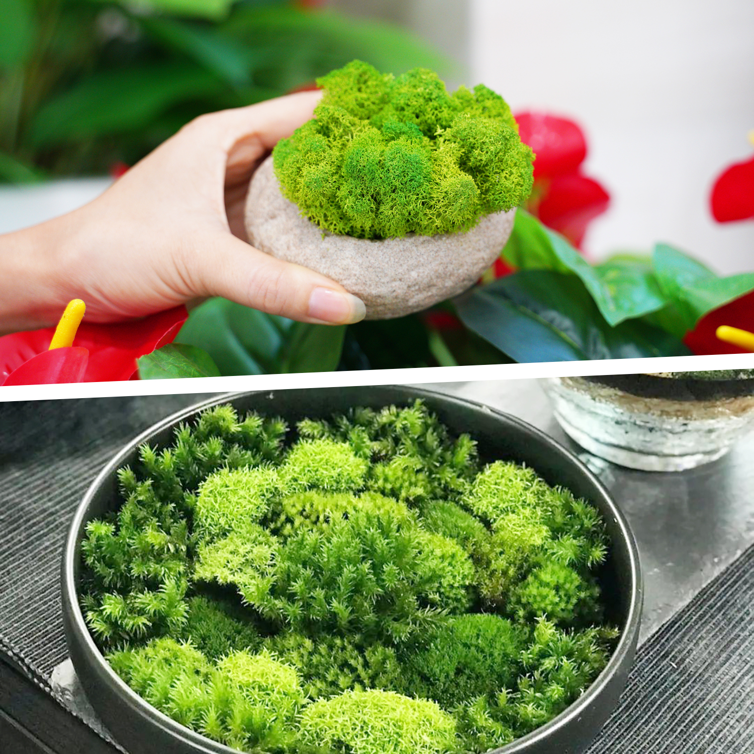 Artificial Green Plants Eterna - Sphagnum Moss Dry recensie en prijs