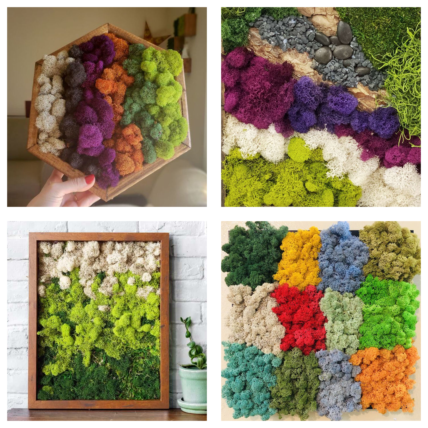 Artificial Green Plants Eterna - Sphagnum Moss Dry recensie en prijs