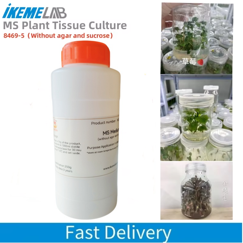 IKEME 250g Lab MS Medium Witho - Agar Tissue Culture recensie en prijs
