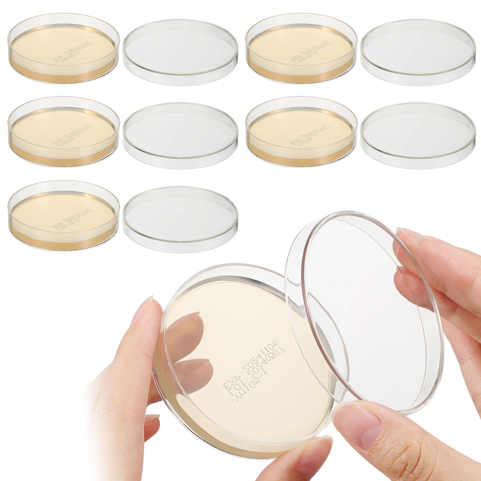 Agar Plates 10pcs Ready to Use - Agar Tissue Culture recensie en prijs