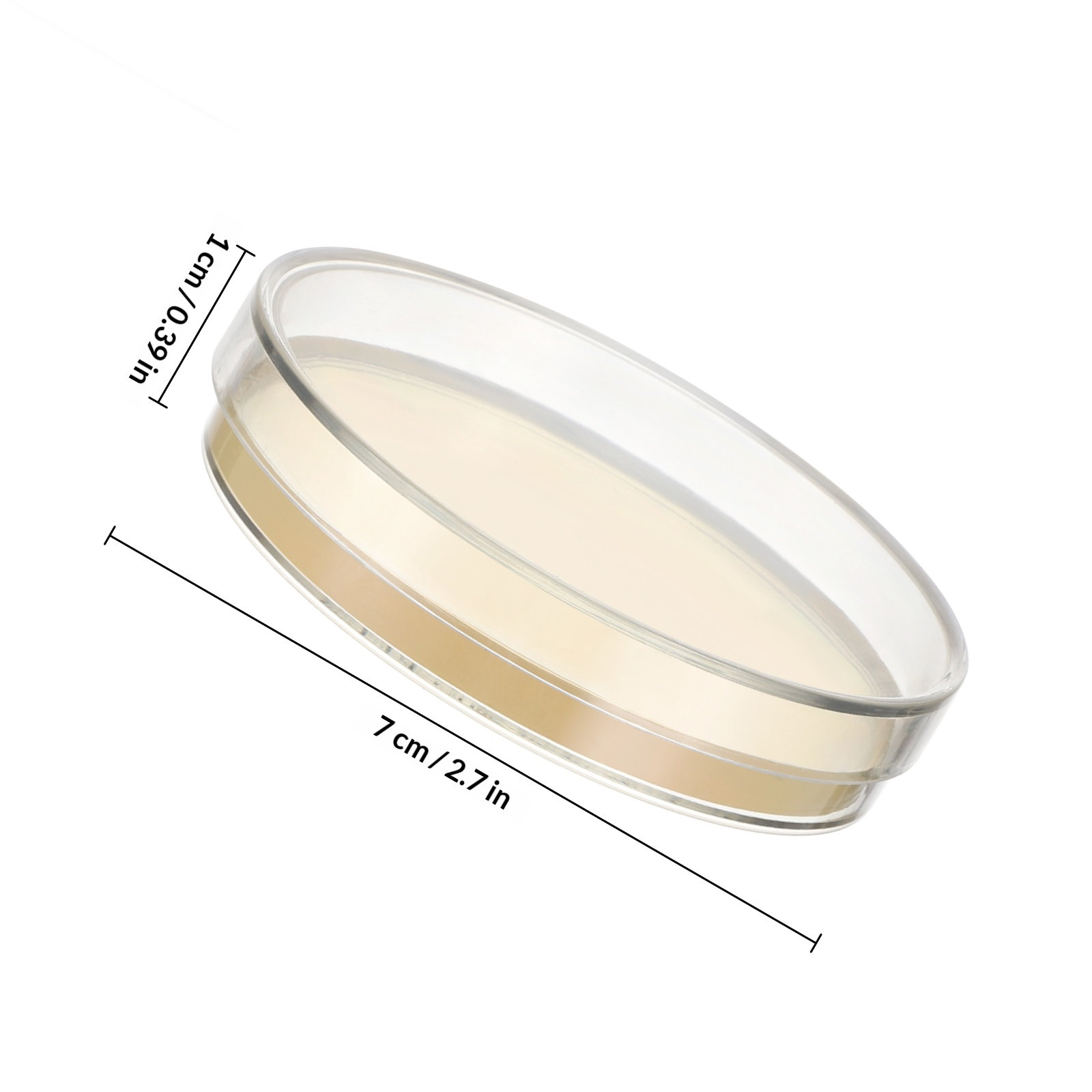 Agar Plates 10pcs Ready to Use - Agar Tissue Culture recensie en prijs