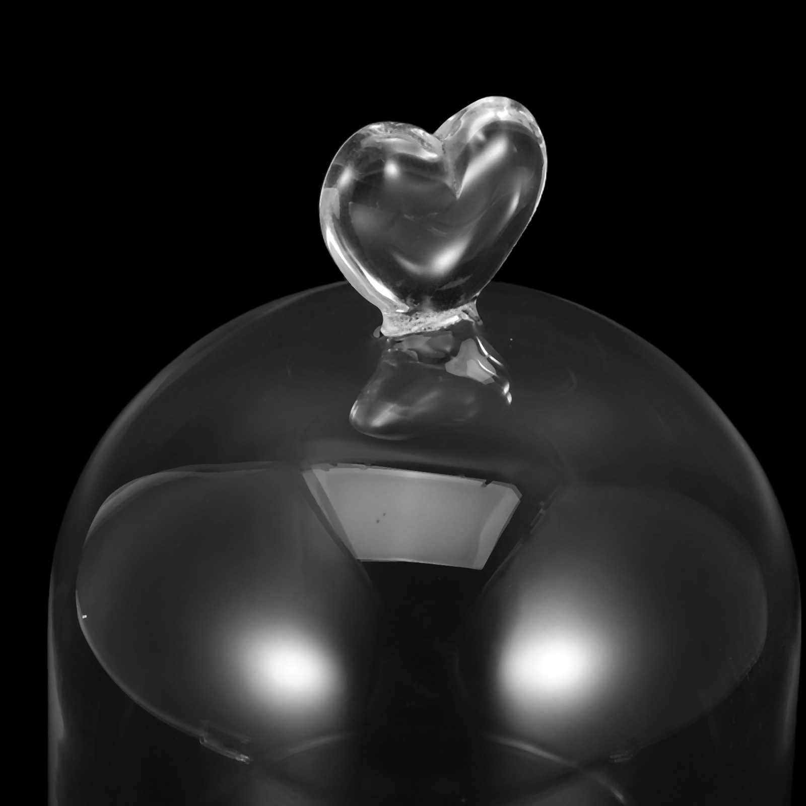 Glass Cloche 6.3x4 Transparent - Plastic Dome Clear recensie en prijs
