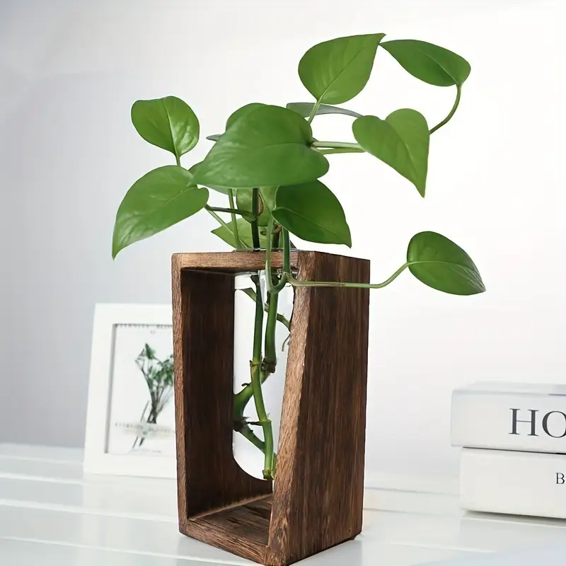 Modern Wood Propagation Vase - - Propagation Station Vase recensie en prijs