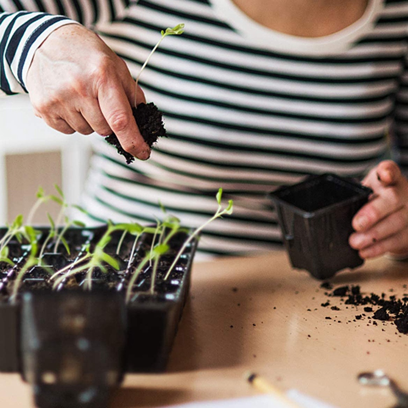 B84B-10 Pack Seed Starter Tray - Propagation Tray 72 recensie en prijs