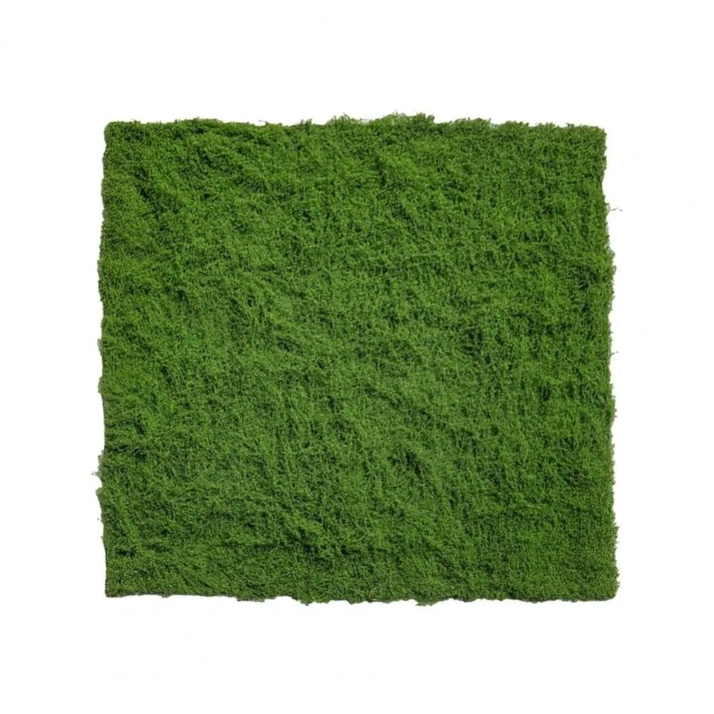 DIY Artificial Grass Rug Durab - Sphagnum Moss Dry recensie en prijs