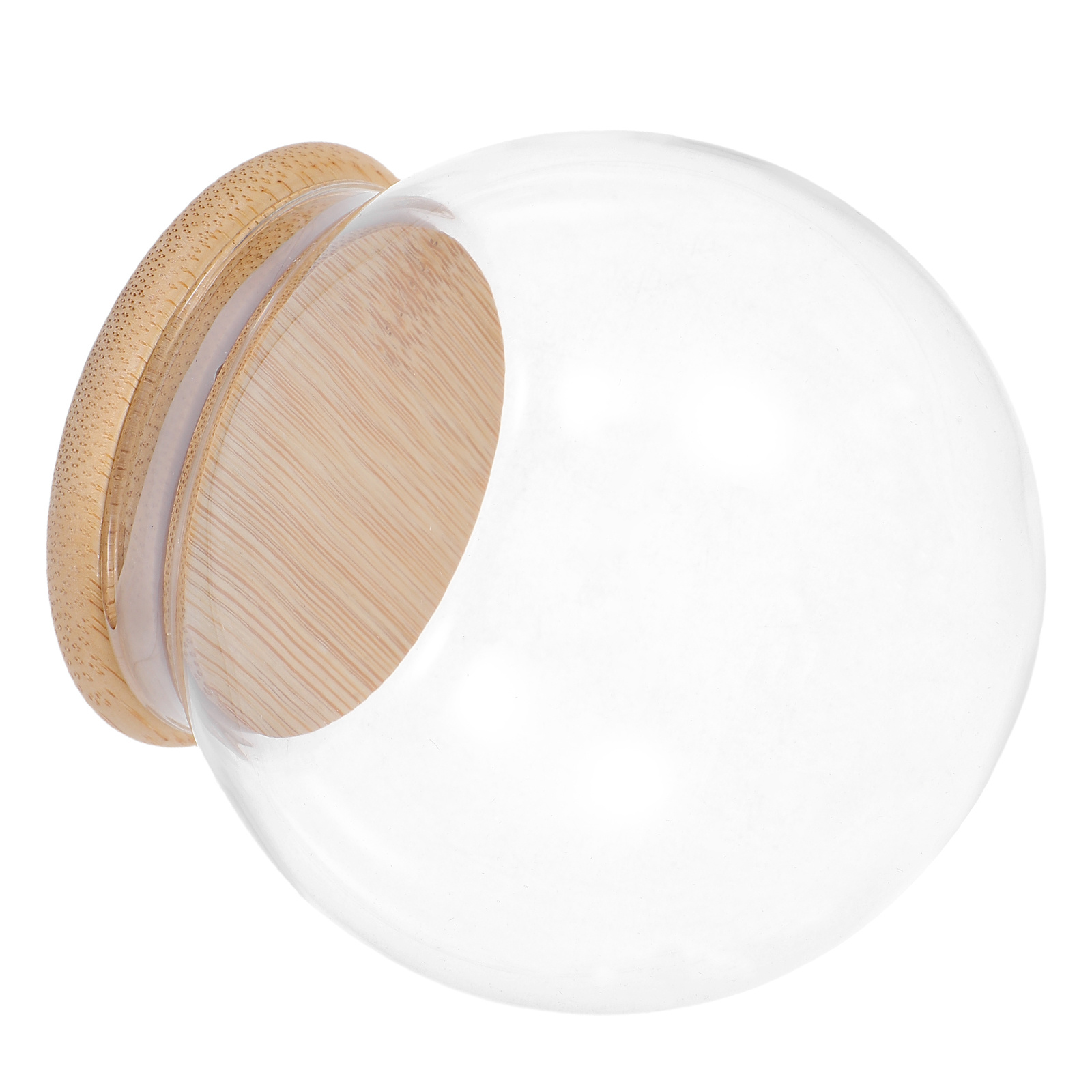 Glass Dome Eternal Flower Disp - Plastic Dome Clear recensie en prijs