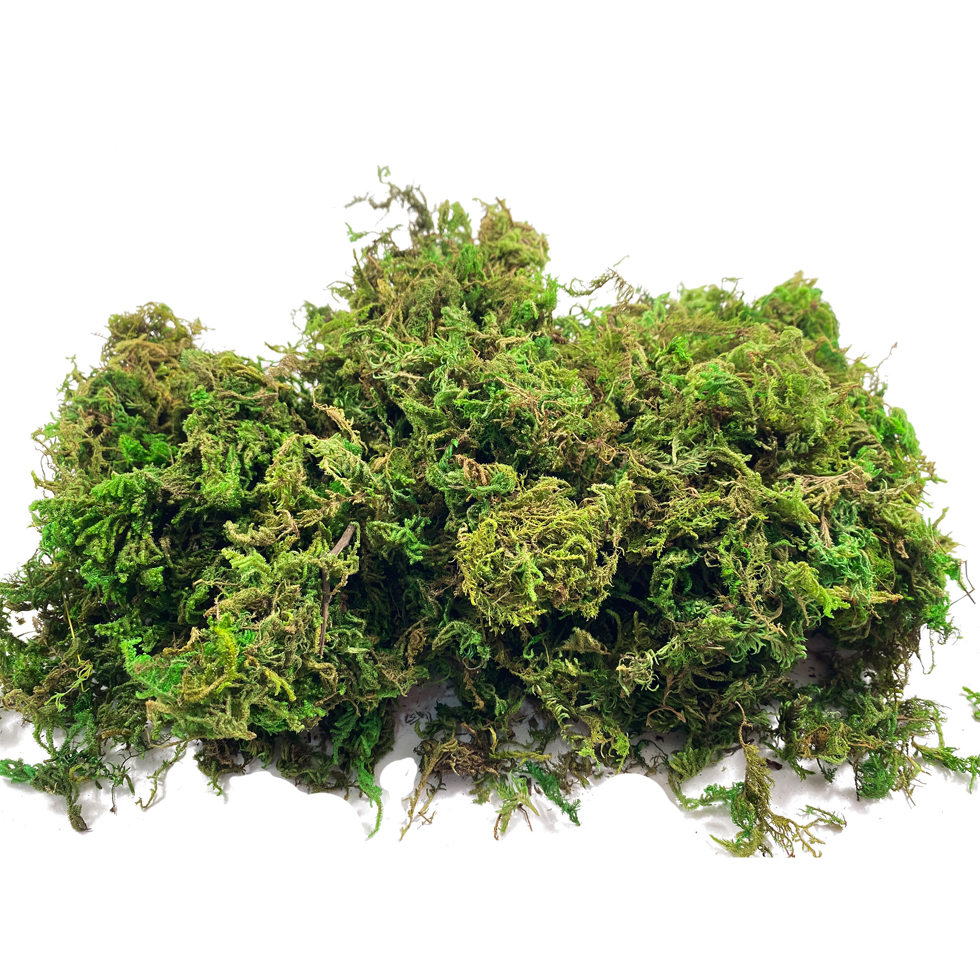 Artificial Fake Moss, Craft Mo - Sphagnum Moss Dry recensie en prijs
