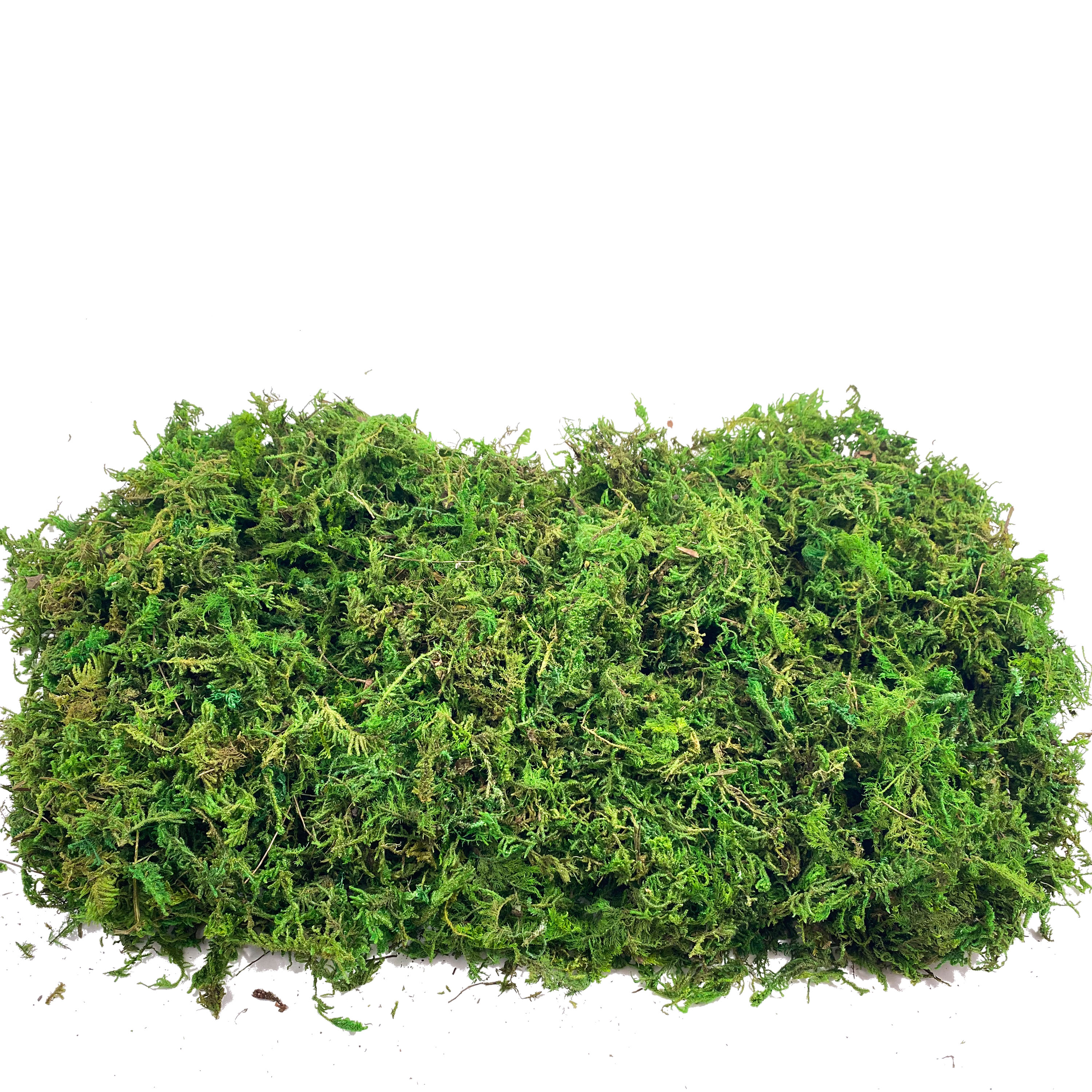 Artificial Fake Moss, Craft Mo - Sphagnum Moss Dry recensie en prijs