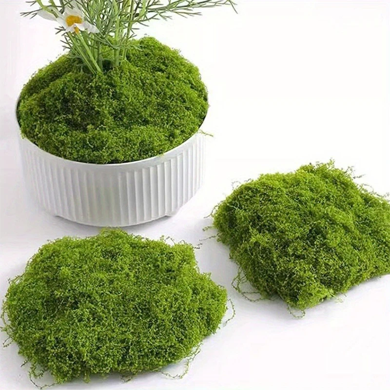 1 \ 5 \ 8 pcs artificial simul - Sphagnum Moss Dry recensie en prijs