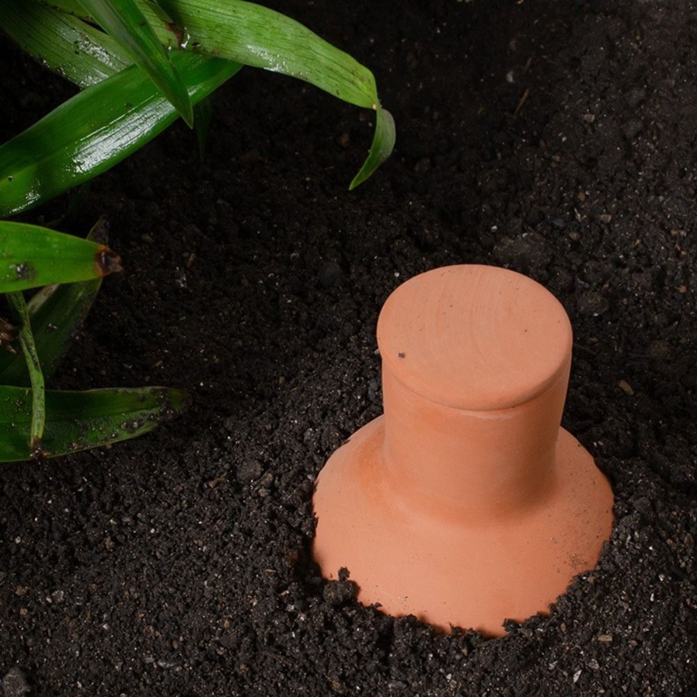 4Pcs Terracotta Material Autom - Self Watering Insert recensie en prijs