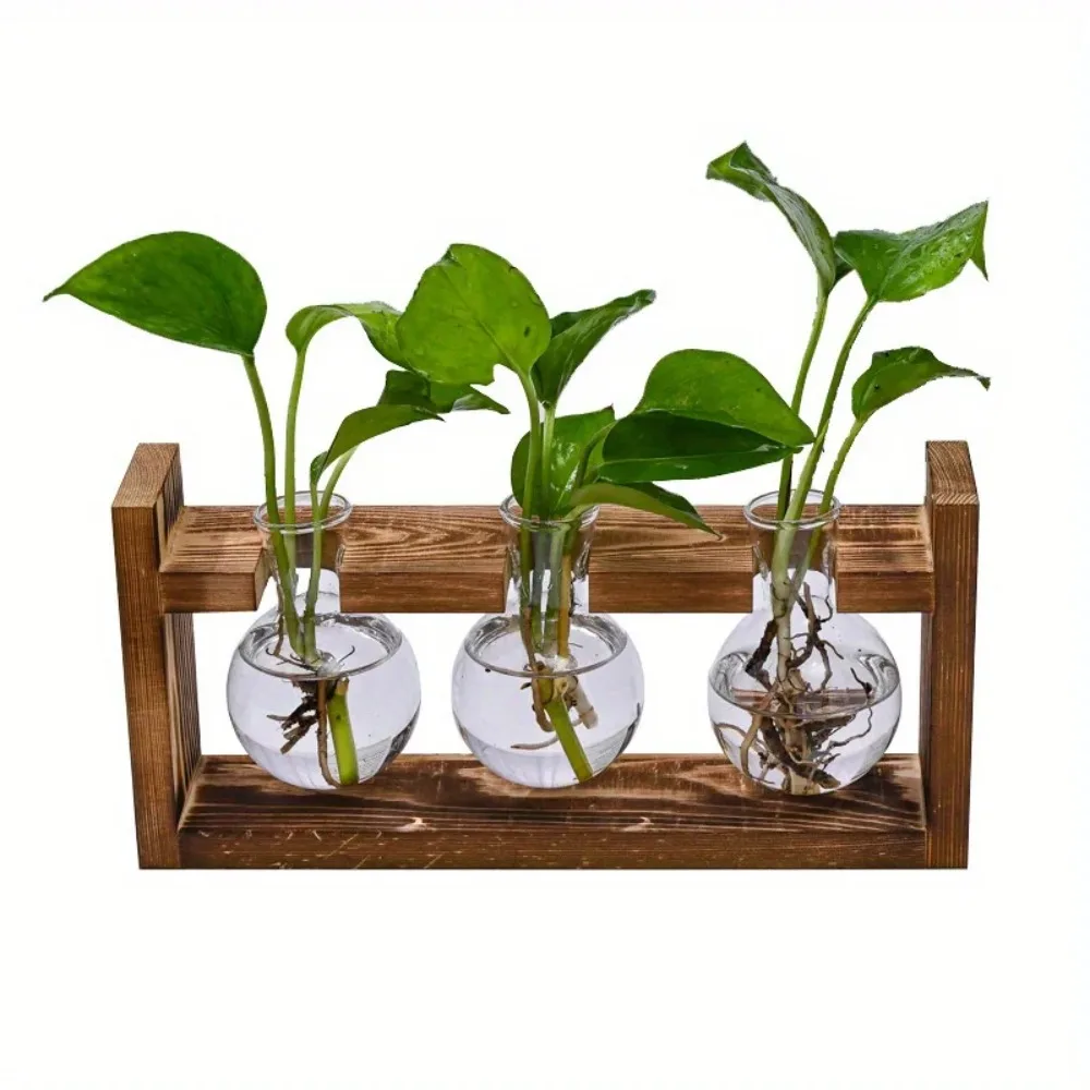 Tabletop Glass Planter Propaga - Propagation Station Vase recensie en prijs