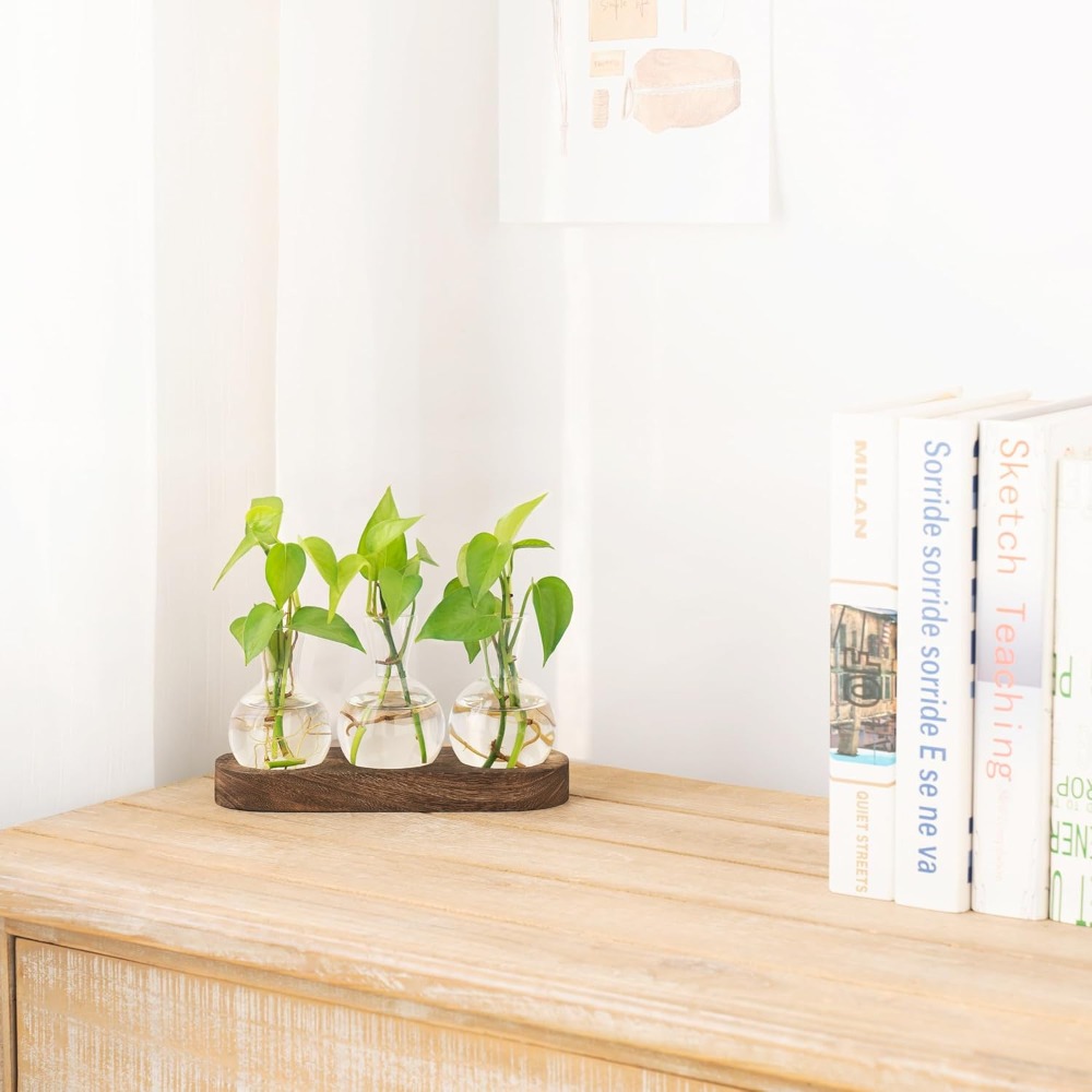 Desktop Plant Propagation Stat - Propagation Station Vase recensie en prijs