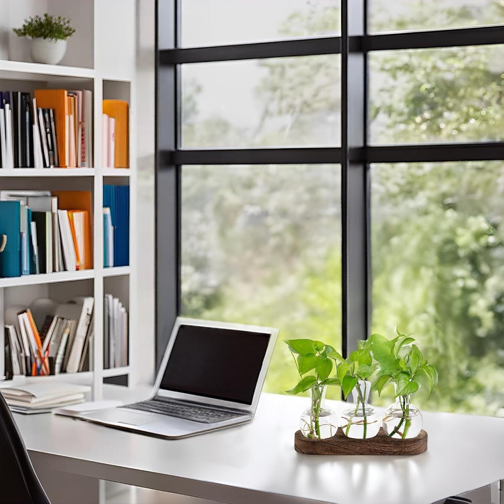 Desktop Plant Propagation Stat - Propagation Station Vase recensie en prijs