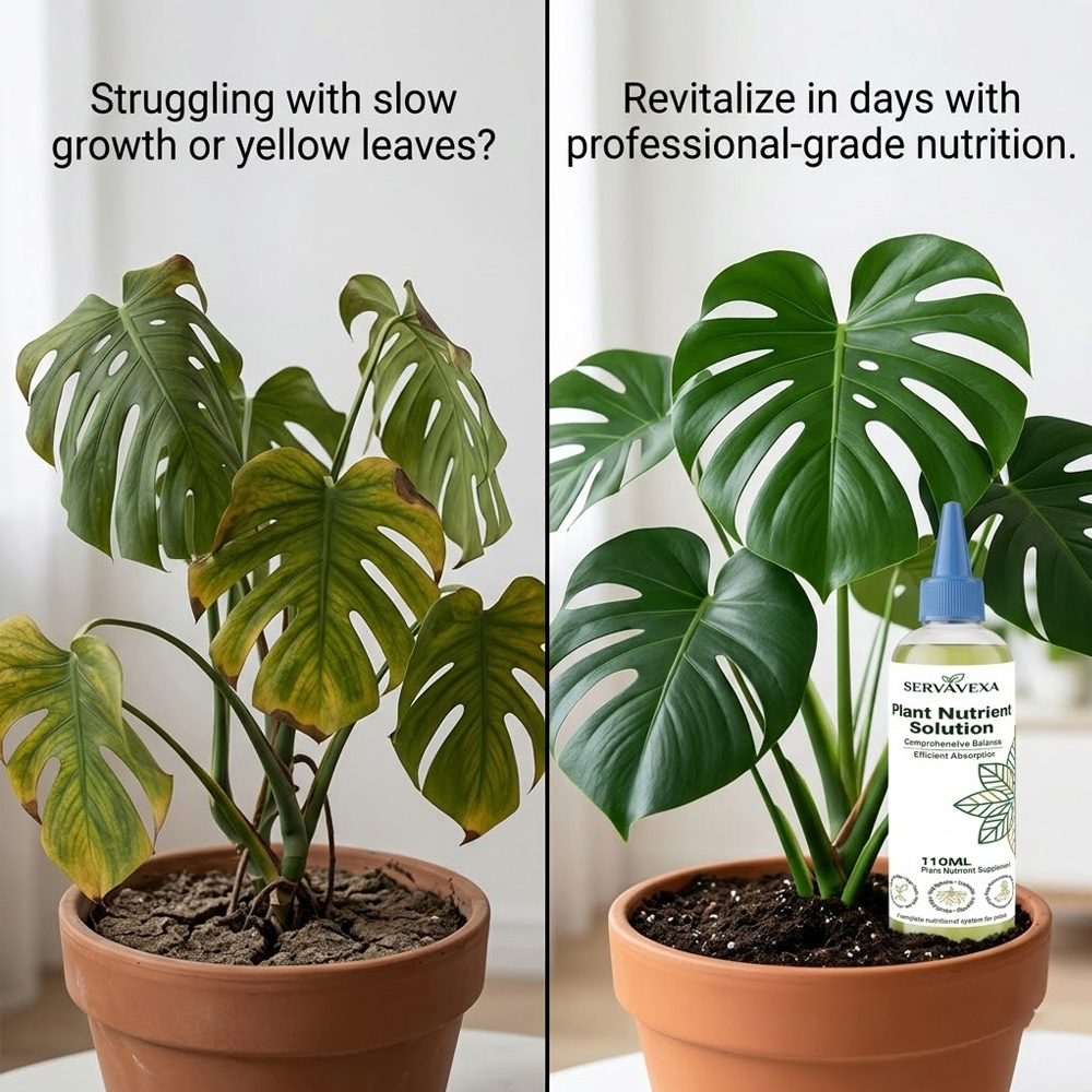 Plant  Nutrient Solution Rapid - Root Stimulator Liquid recensie en prijs