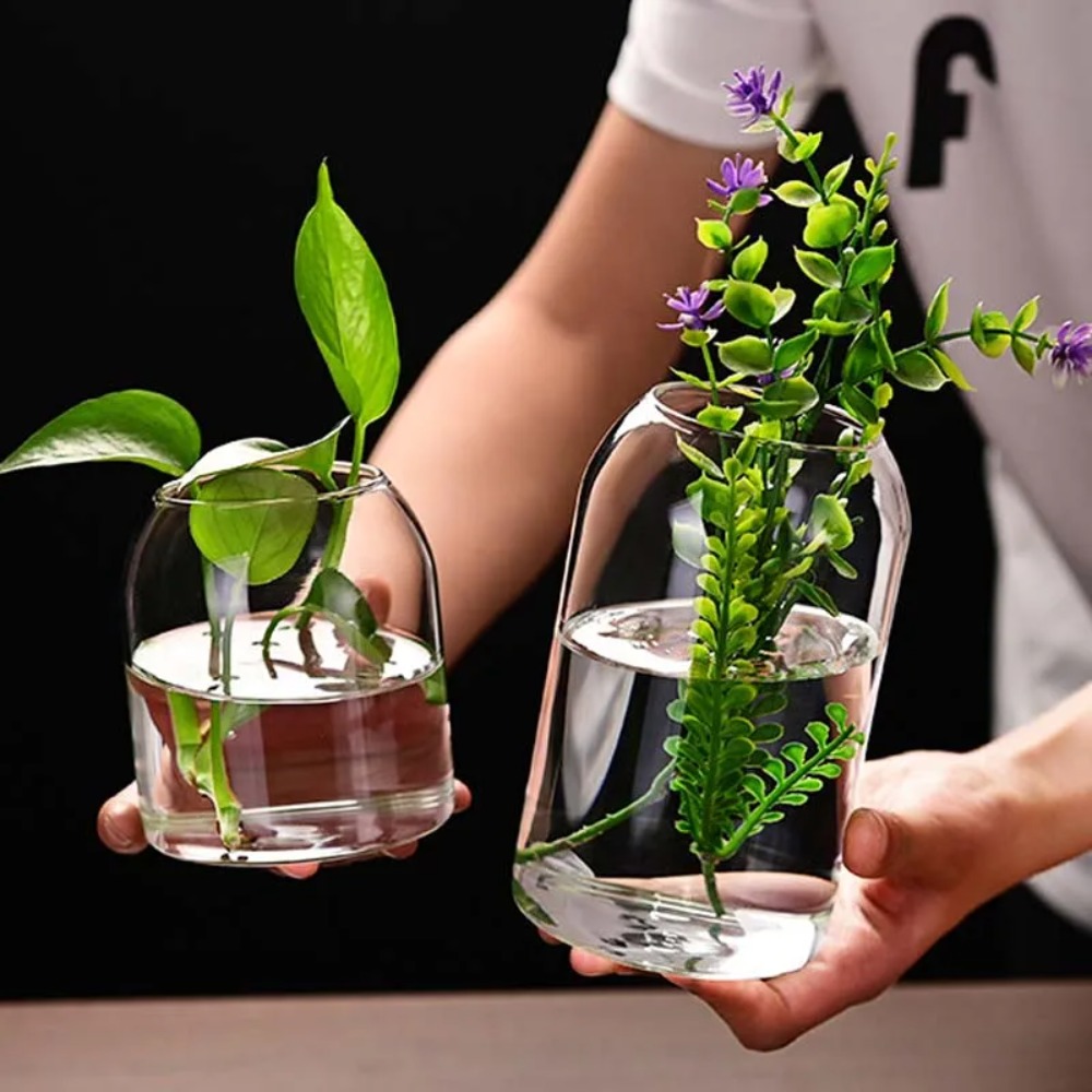 Creative Hydroponic Plant Glas - Propagation Station Vase recensie en prijs