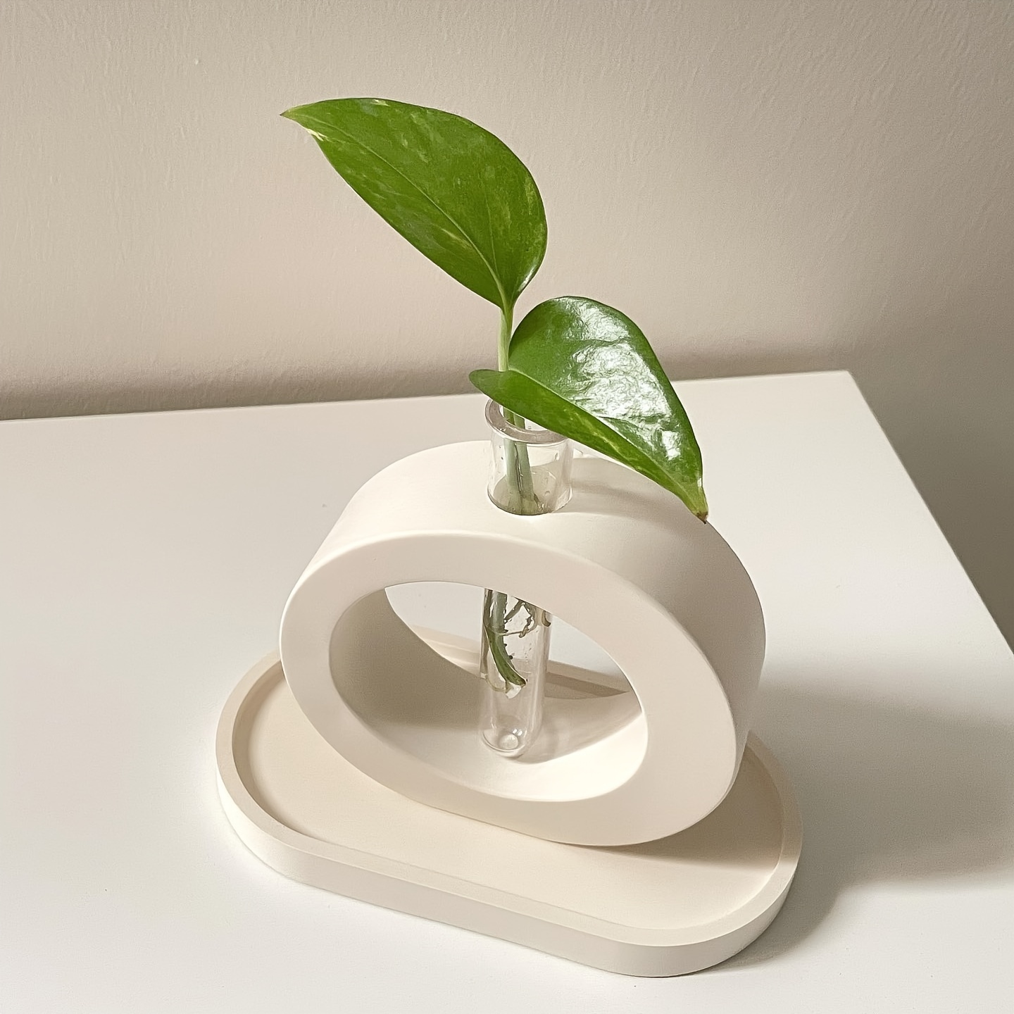 4PCS Flower Vase Silicone Mold - Propagation Station Vase recensie en prijs