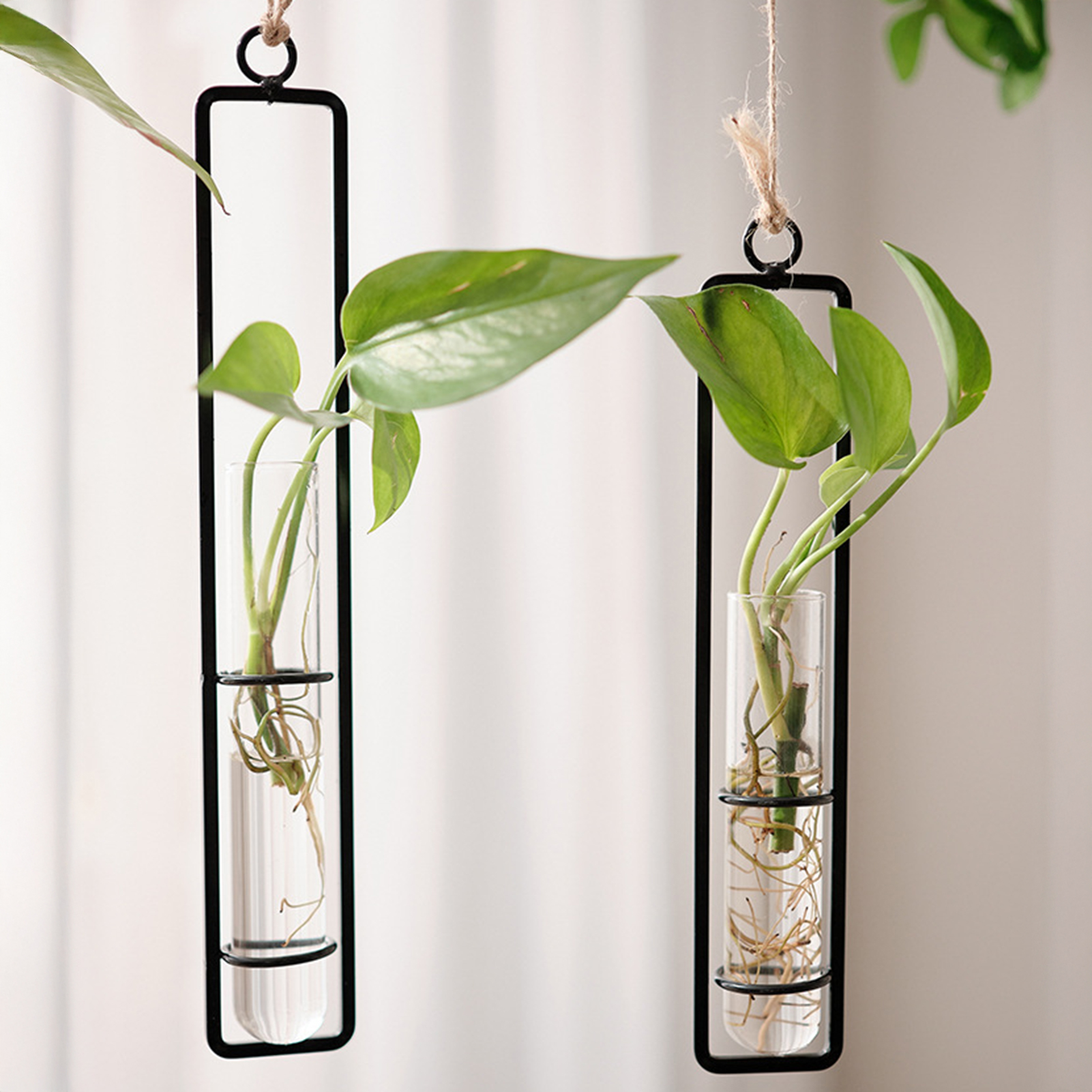 Wall Hanging Glass Vase Europe - Propagation Station Vase recensie en prijs