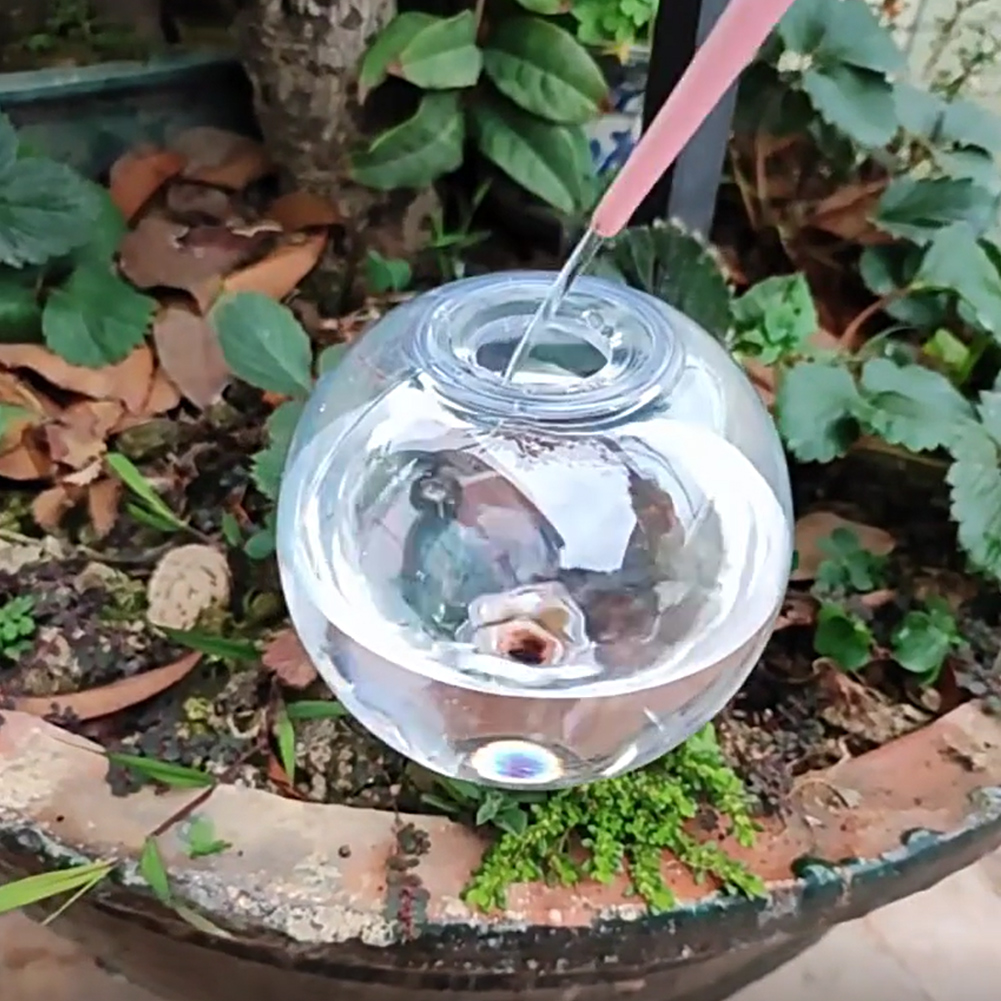 500ML Self Watering Globes Dri - Self Watering Insert recensie en prijs