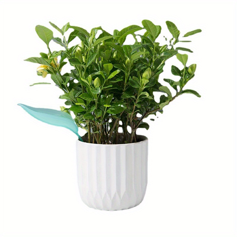 Creative Potted Foliage Divers - Self Watering Insert recensie en prijs