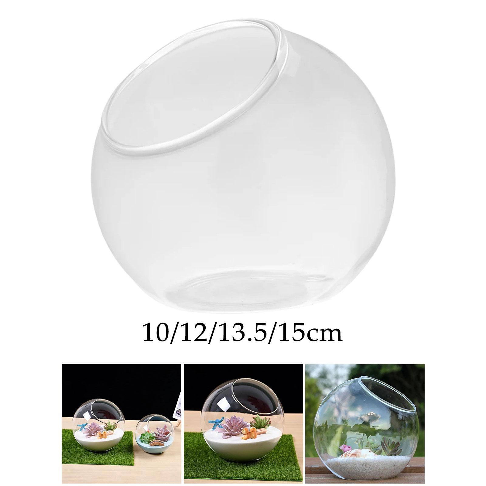 Terrarium Glass Vase Unique Ce - Propagation Station Vase recensie en prijs
