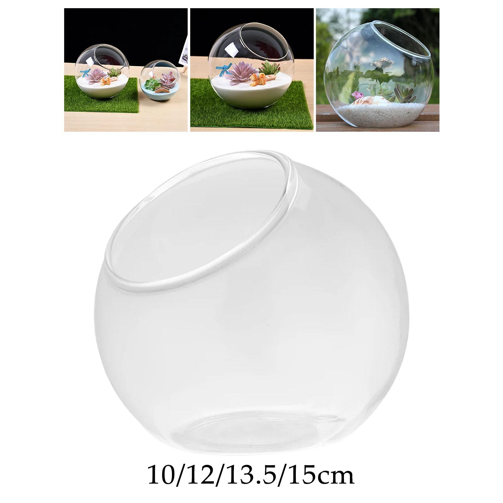 Terrarium Glass Vase Unique Ce - Propagation Station Vase recensie en prijs