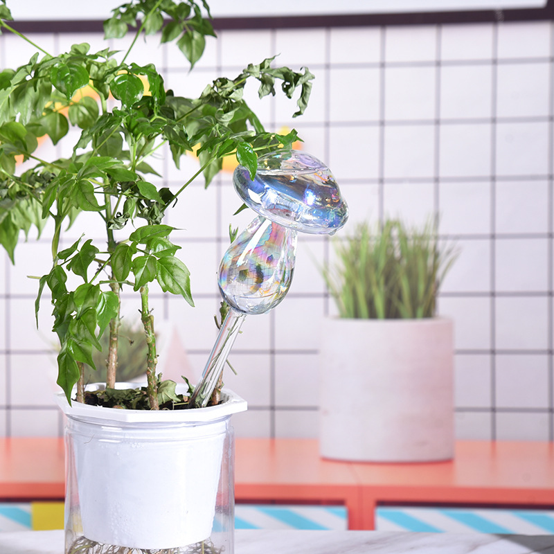 1/2PCS Glass Straw Automatic P - Self Watering Insert recensie en prijs