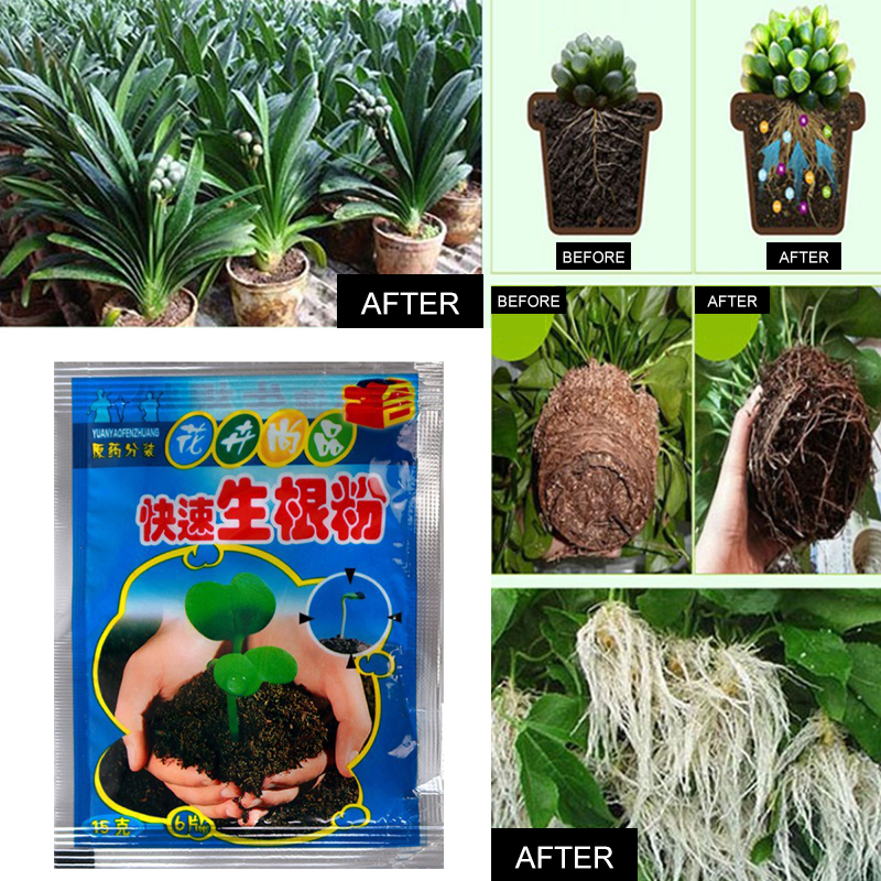 5pcs Fast Rooting Powder Plant - Rooting Hormone Powder recensie en prijs