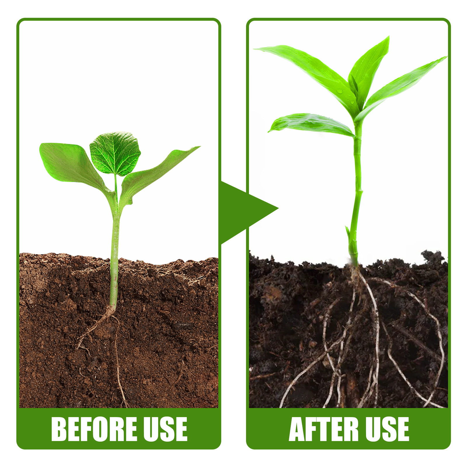 1Rare Plant Rooting Powder Pla - Rooting Hormone Powder recensie en prijs