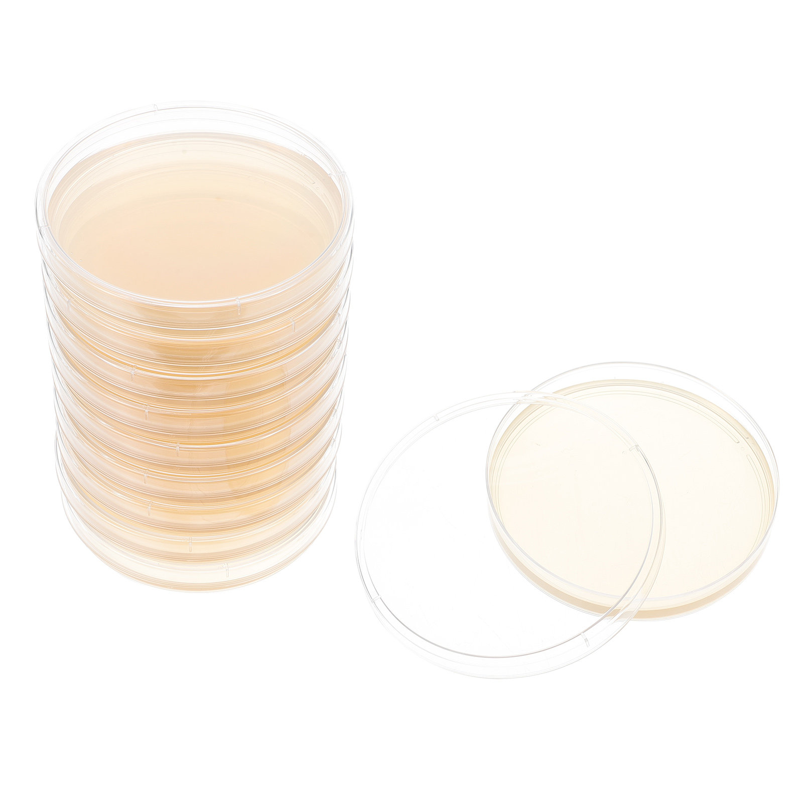 10pcs Nutrient Agar Plates Pre - Agar Tissue Culture recensie en prijs