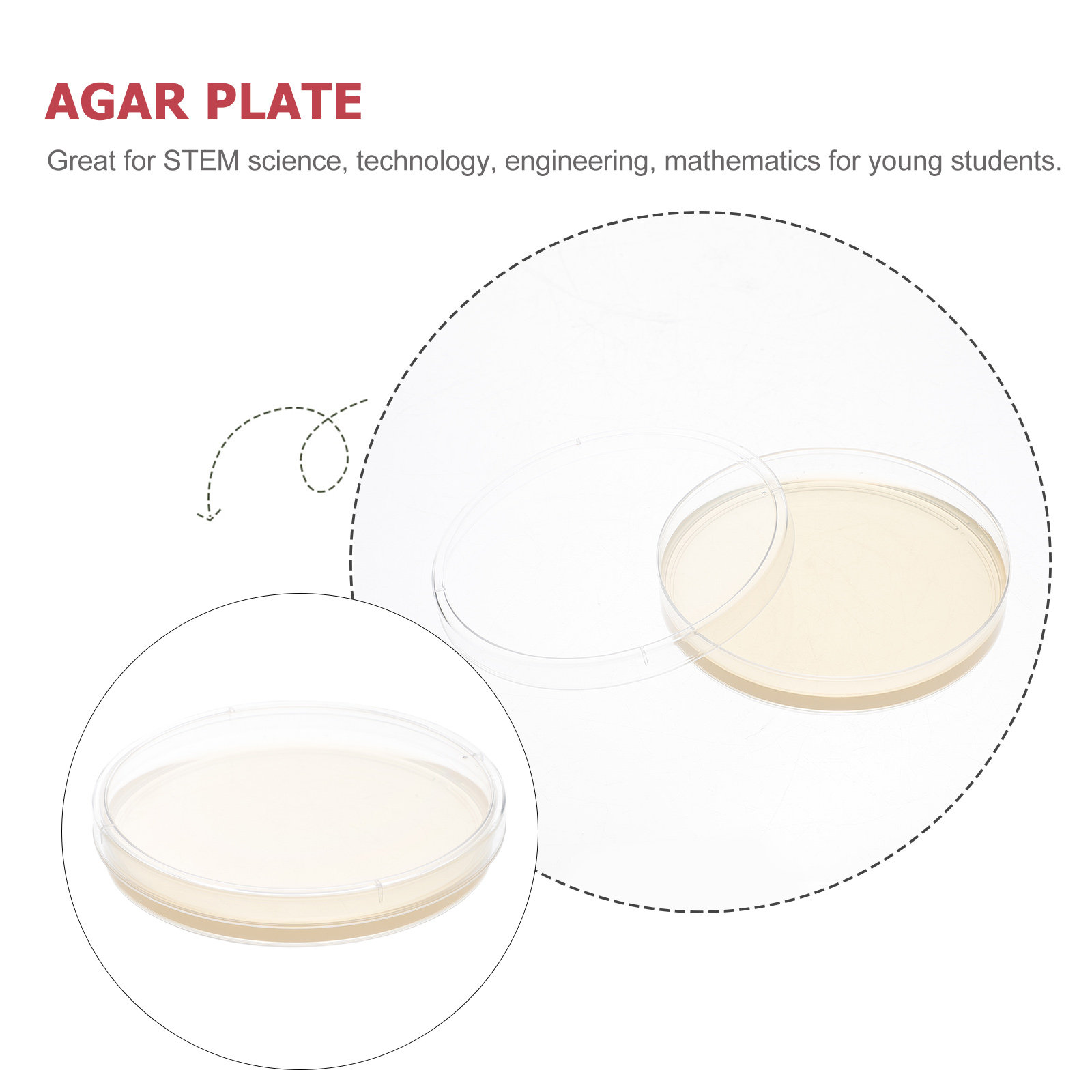10pcs Nutrient Agar Plates Pre - Agar Tissue Culture recensie en prijs