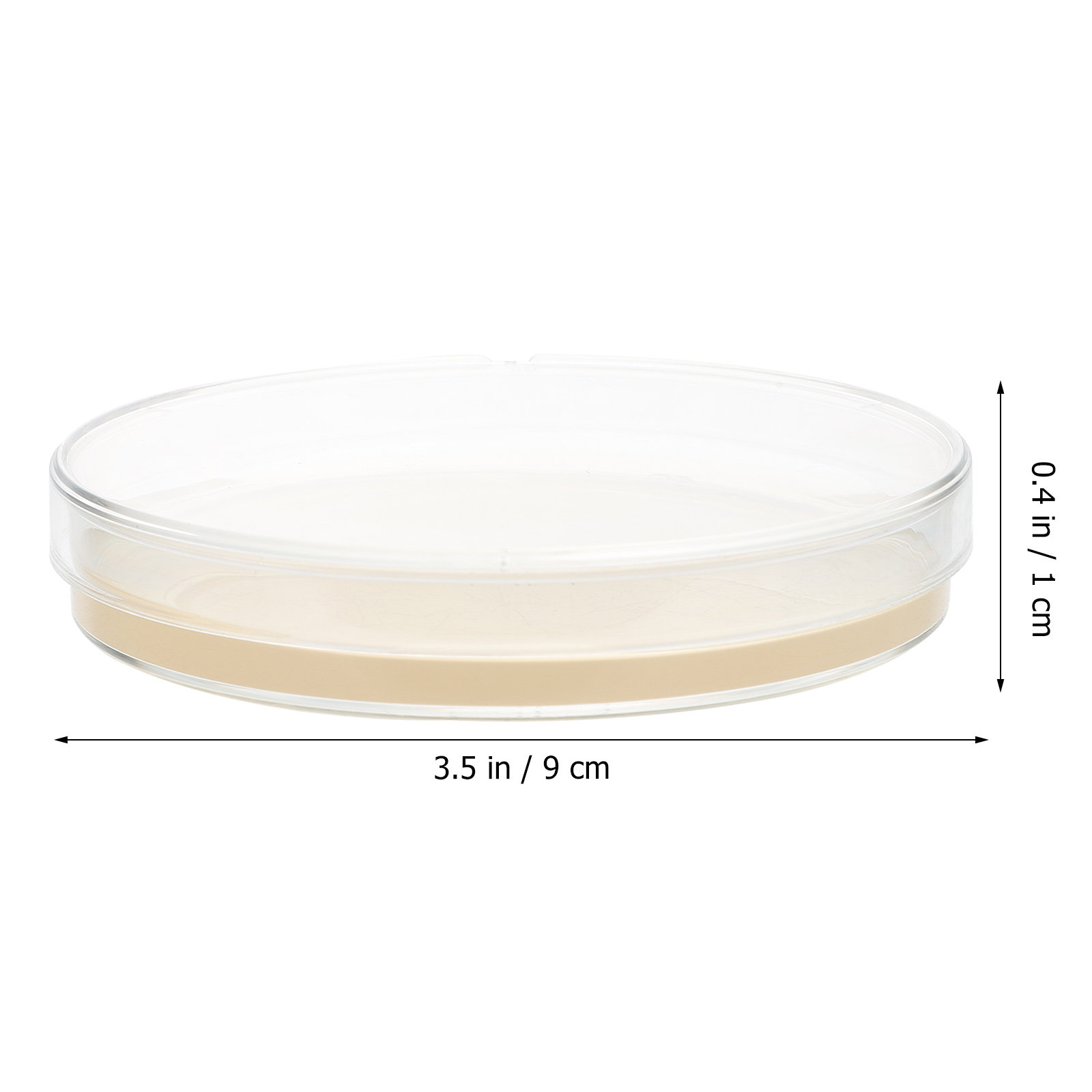 10pcs Nutrient Agar Plates Pre - Agar Tissue Culture recensie en prijs
