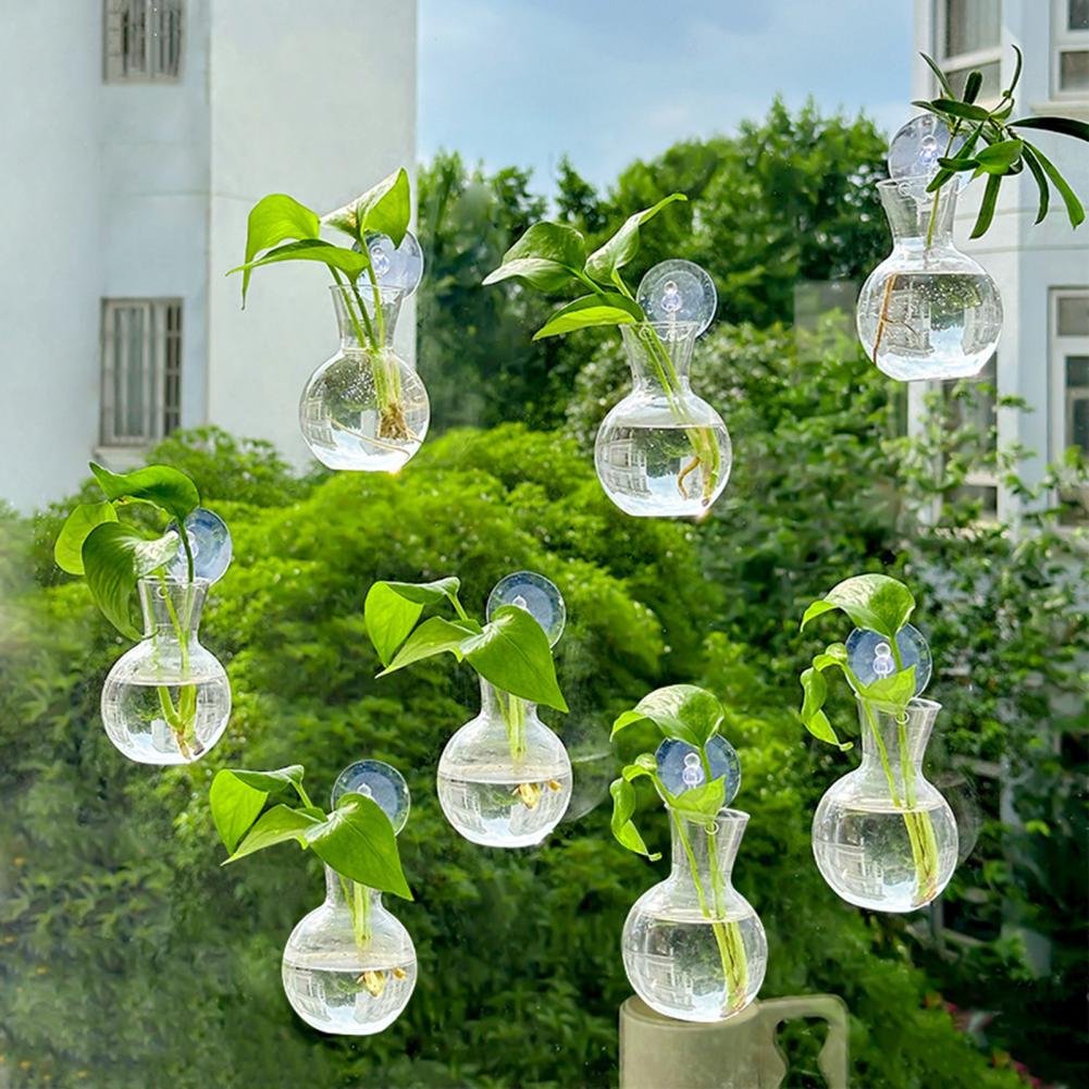 Window Planter Vase Window Pla - Propagation Station Vase recensie en prijs