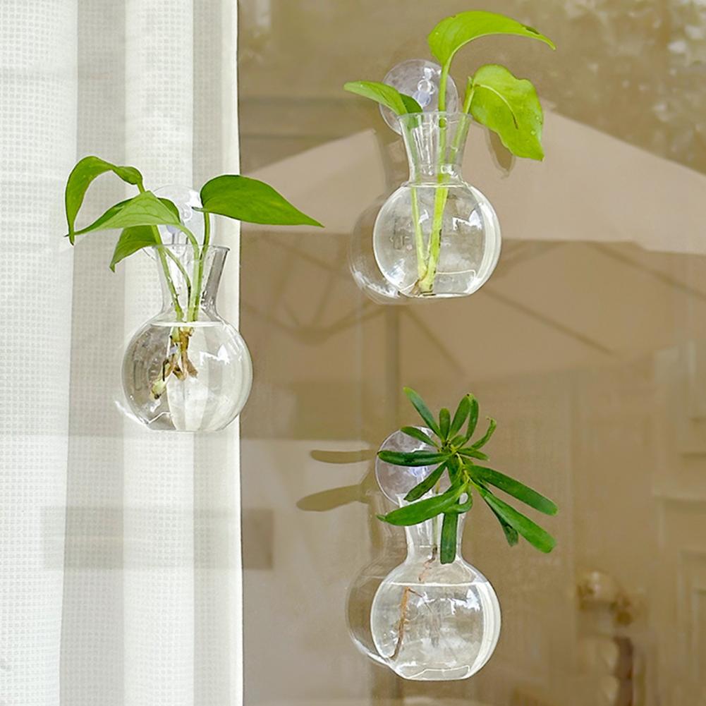 Window Planter Vase Window Pla - Propagation Station Vase recensie en prijs