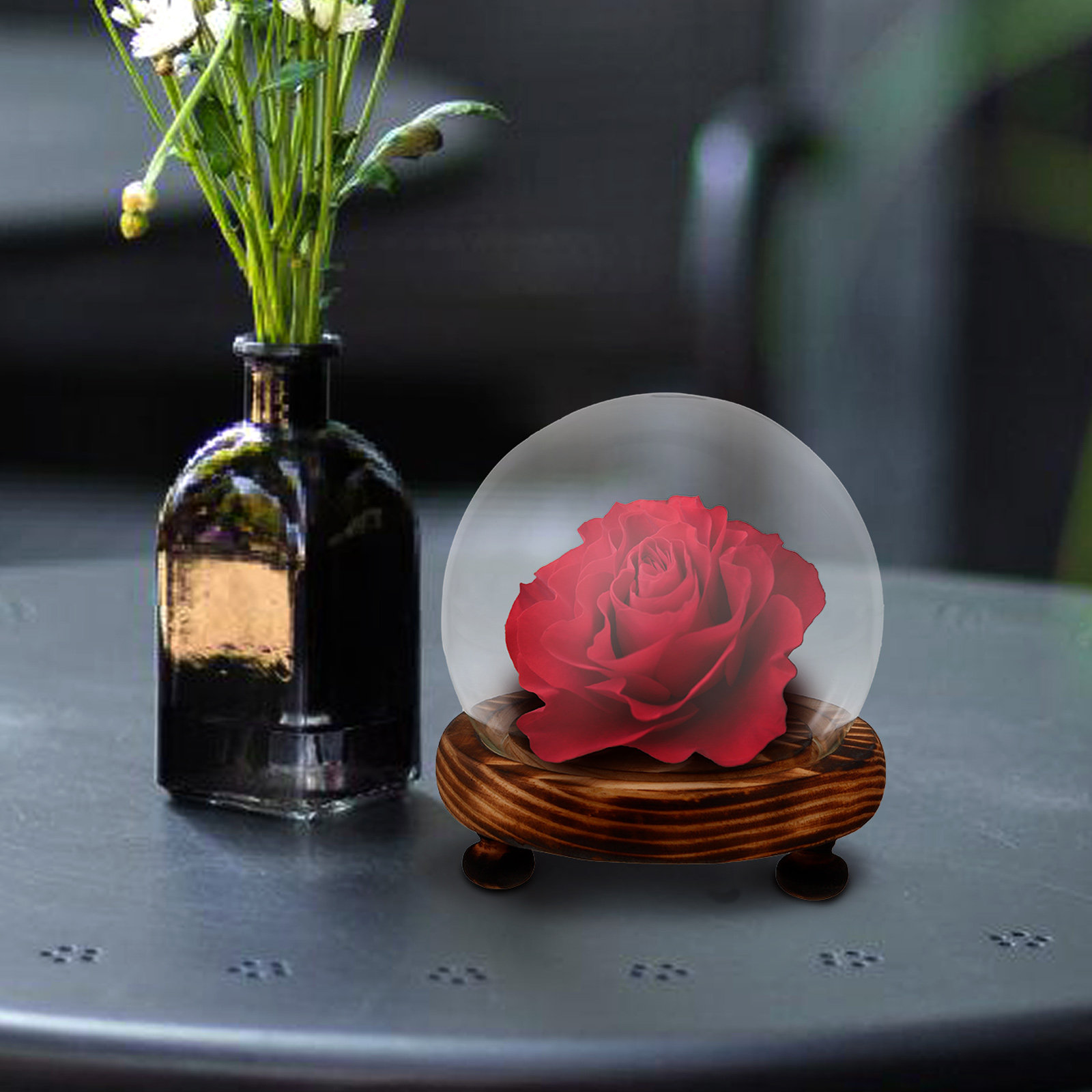 Glass Dome Display Case with W - Plastic Dome Clear recensie en prijs