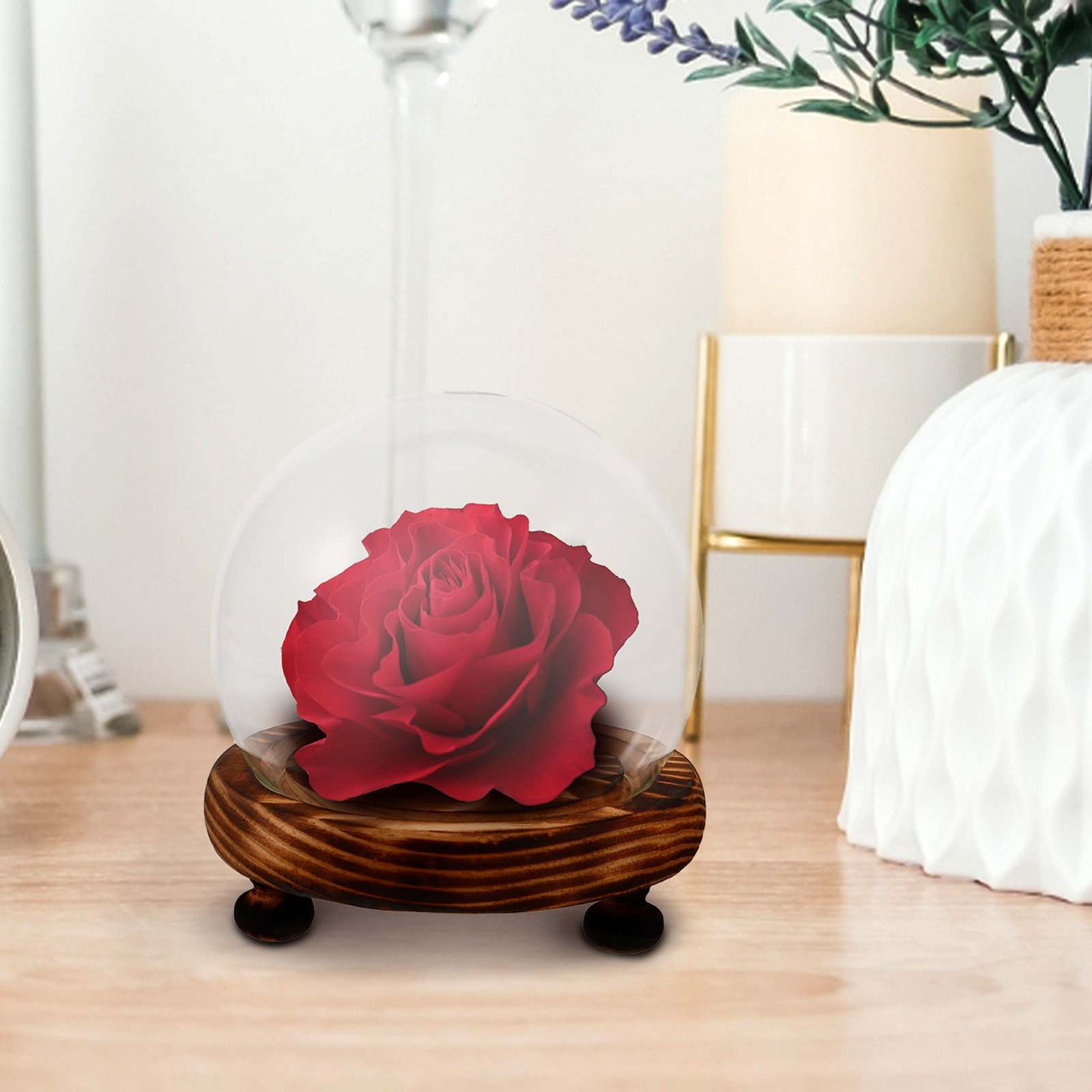 Glass Dome Display Case with W - Plastic Dome Clear recensie en prijs