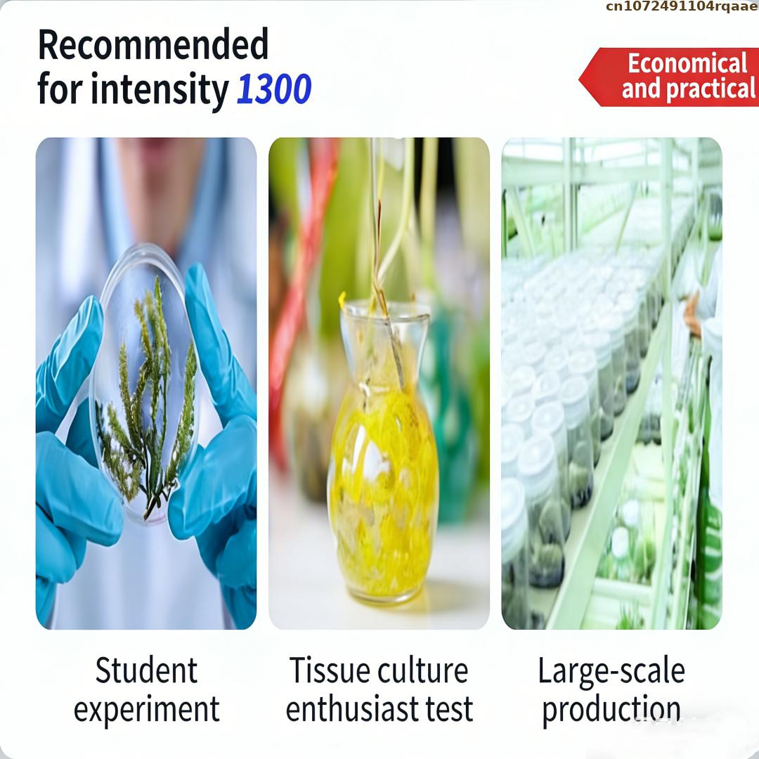 Premium Plant Tissue Culture A - Agar Tissue Culture recensie en prijs