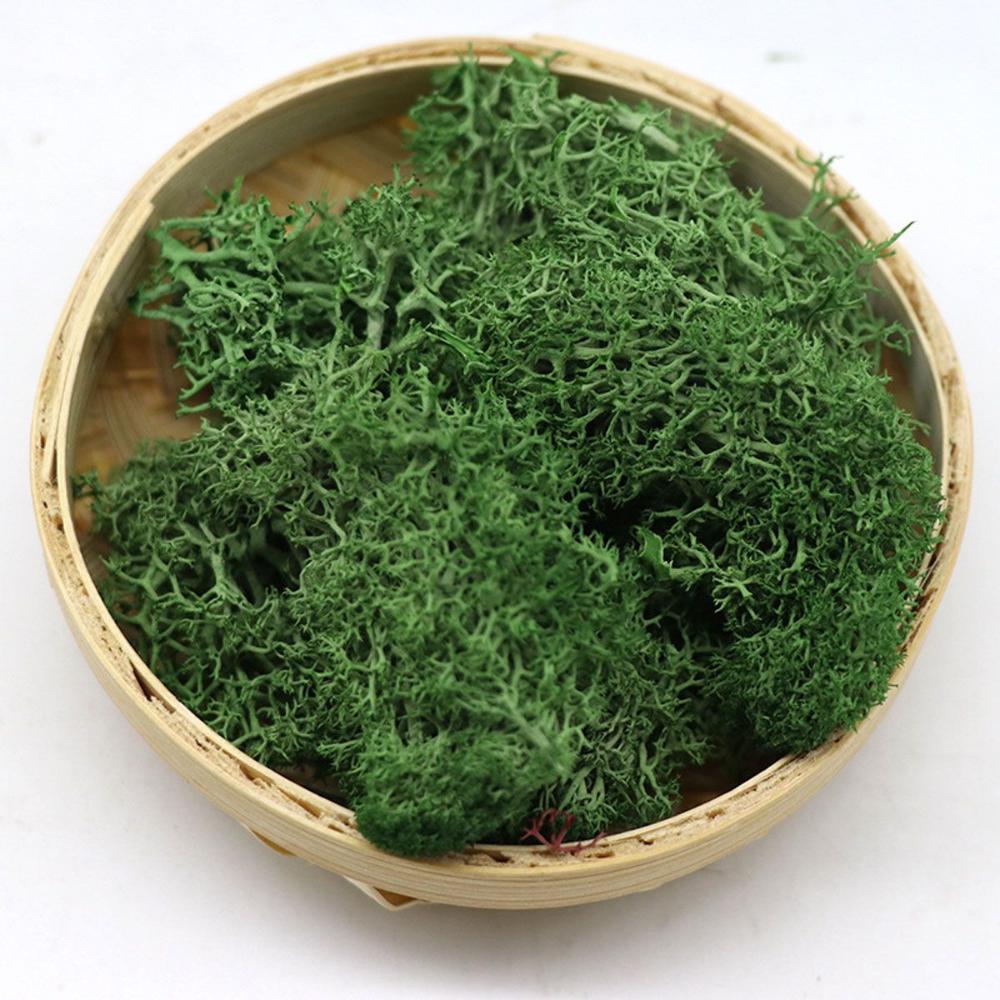 Wedding Accessories Wedding Fl - Sphagnum Moss Dry recensie en prijs