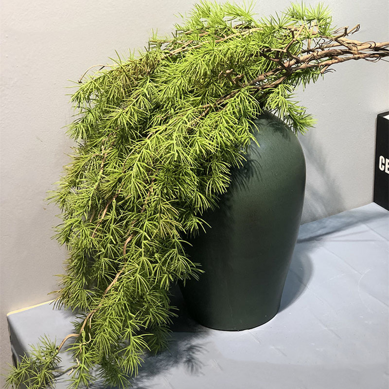 New Pine Needle Vine Wall Hang - Sphagnum Moss Dry recensie en prijs