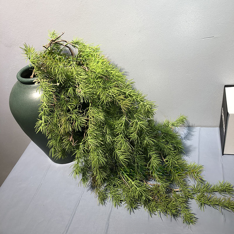 New Pine Needle Vine Wall Hang - Sphagnum Moss Dry recensie en prijs