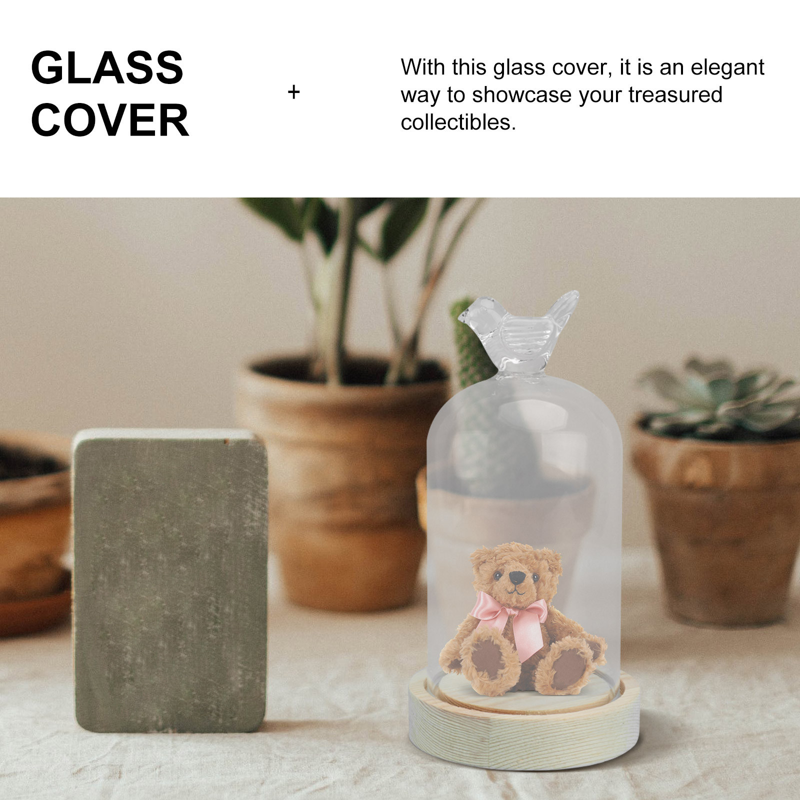 1Pcs Mini Glass Dome Cover Bir - Plastic Dome Clear recensie en prijs