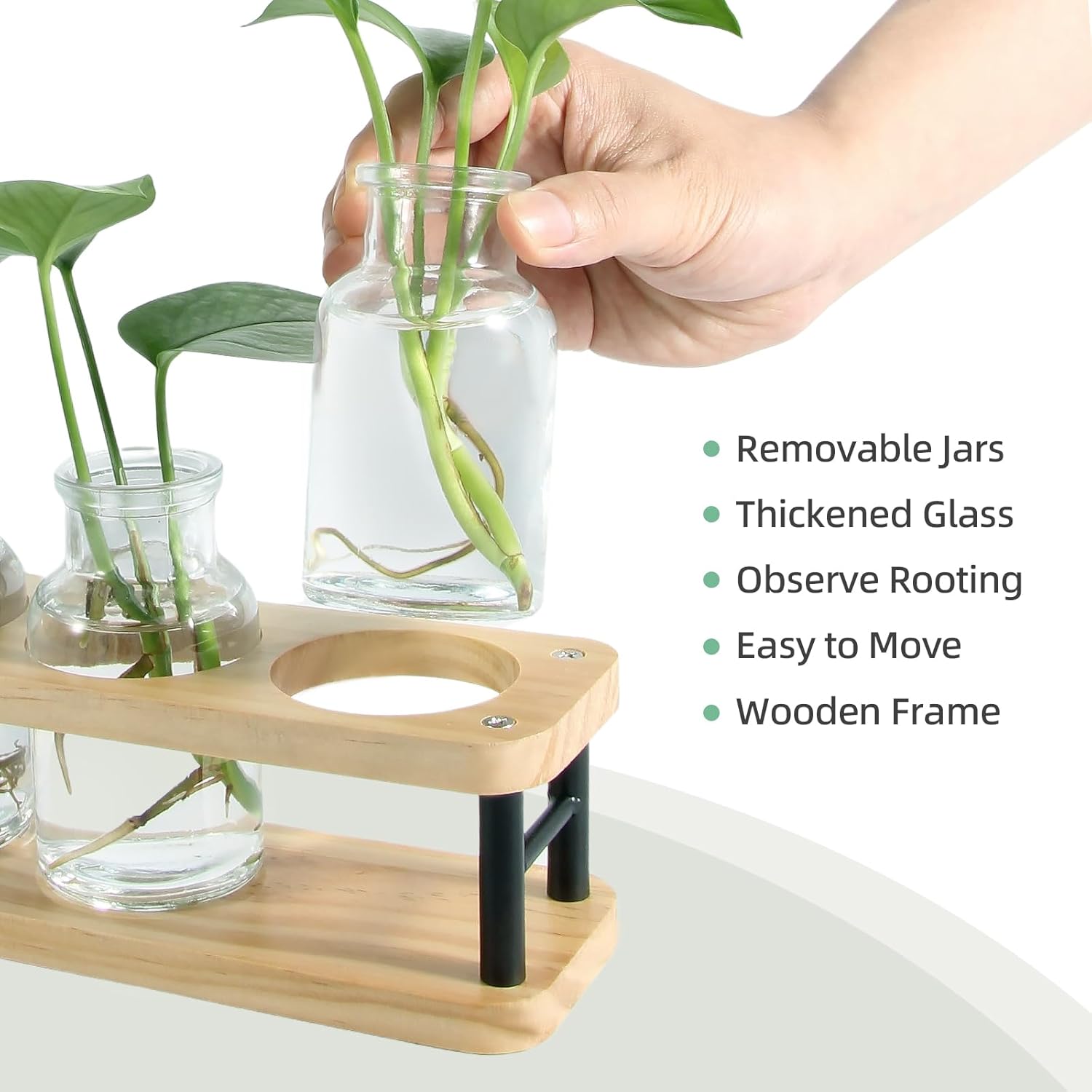 Propagation Station with Woode - Propagation Station Vase recensie en prijs