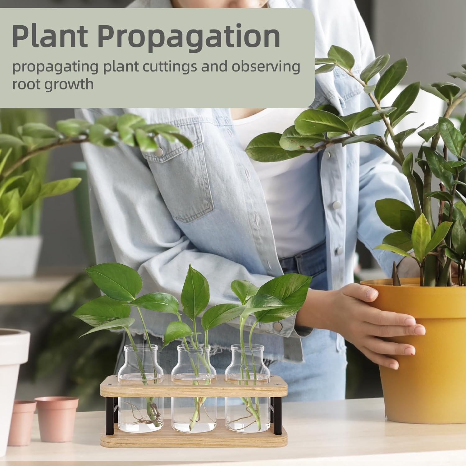 Propagation Station with Woode - Propagation Station Vase recensie en prijs