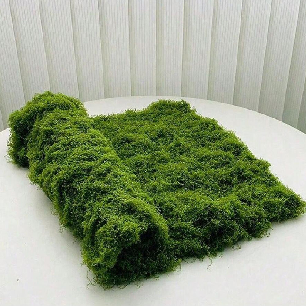 1*1m Fake Moss DIY Crafts Gras - Sphagnum Moss Dry recensie en prijs